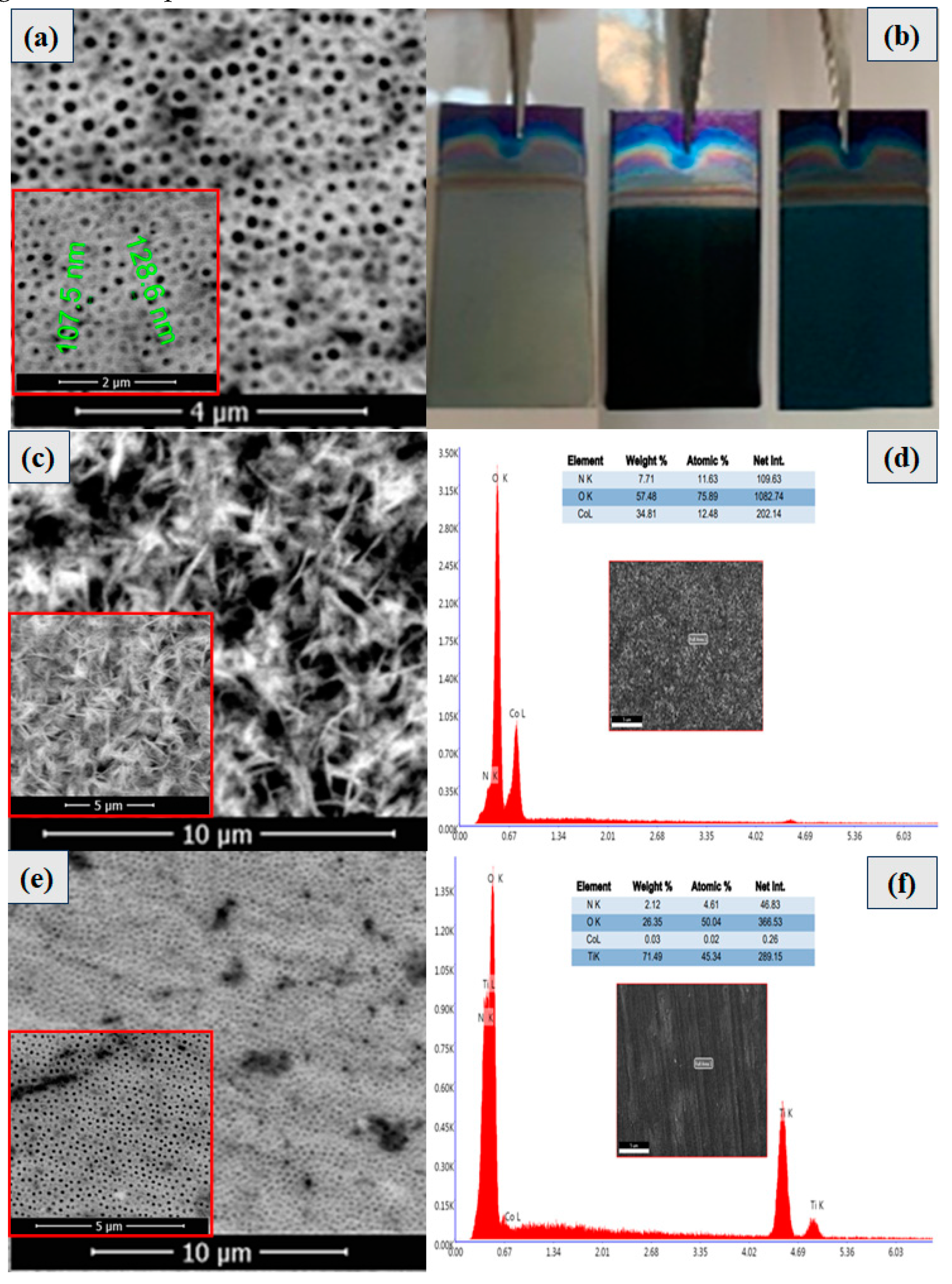 Preprints 79067 g003