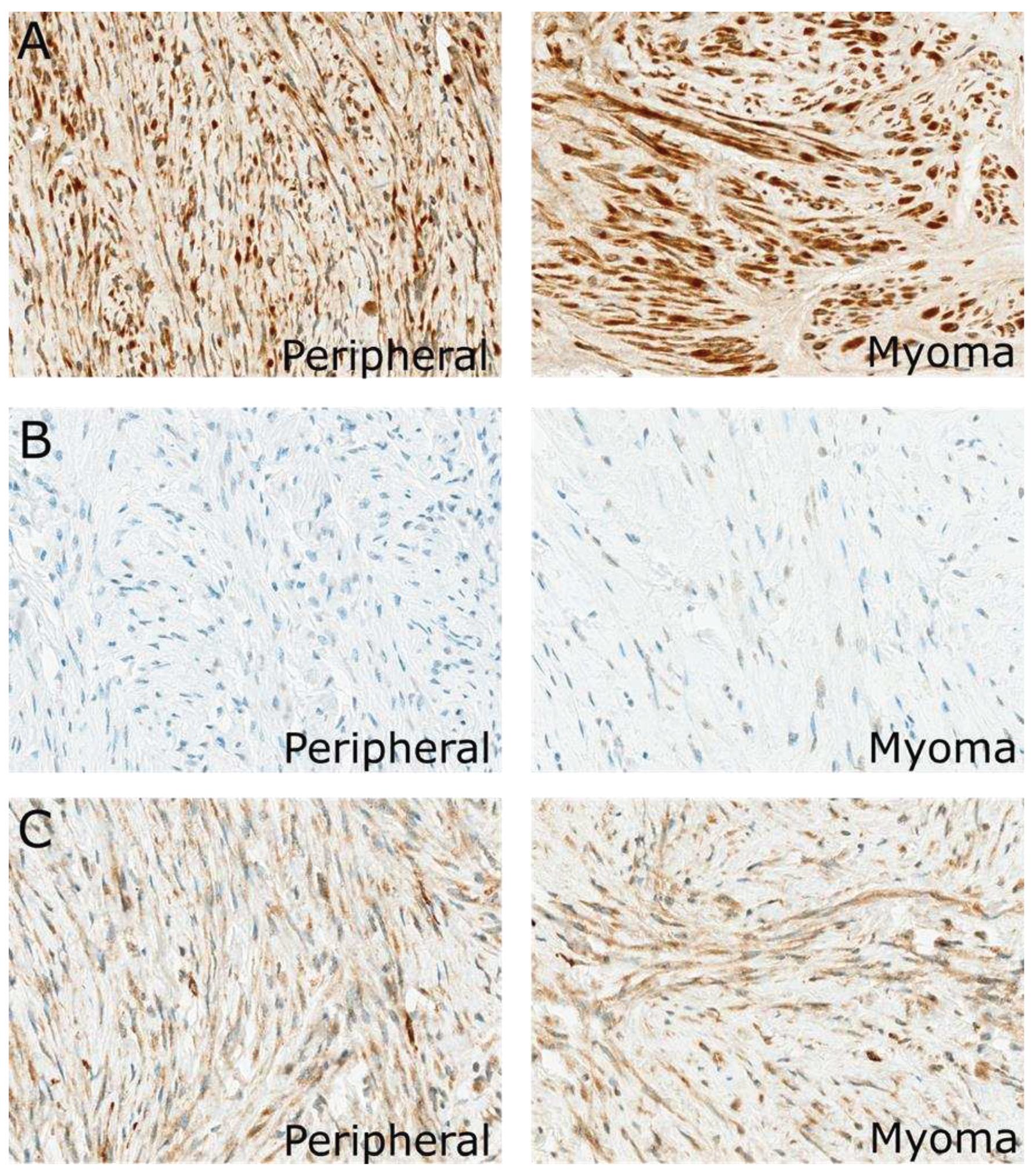 Preprints 92760 g004