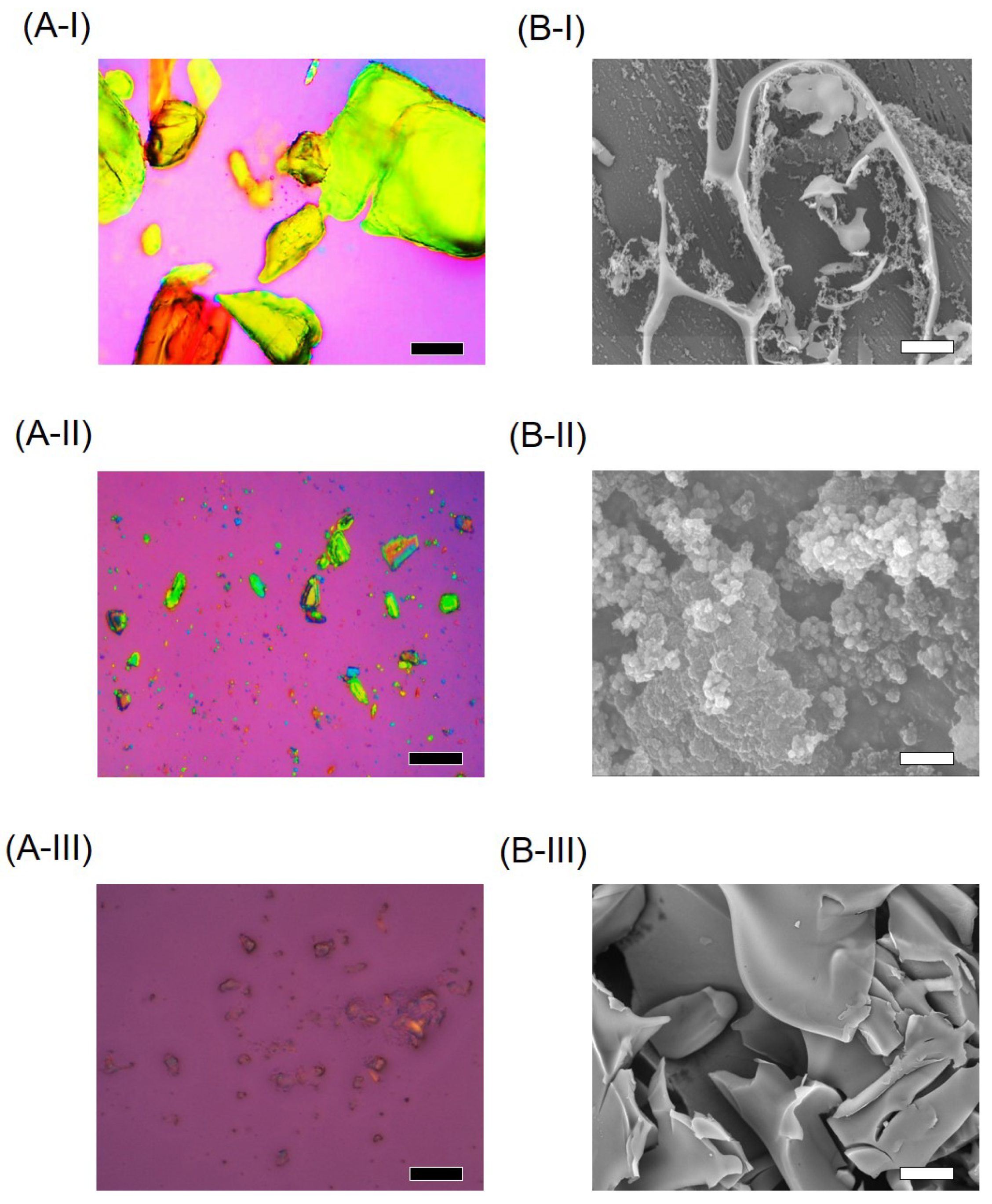 Preprints 67197 g003