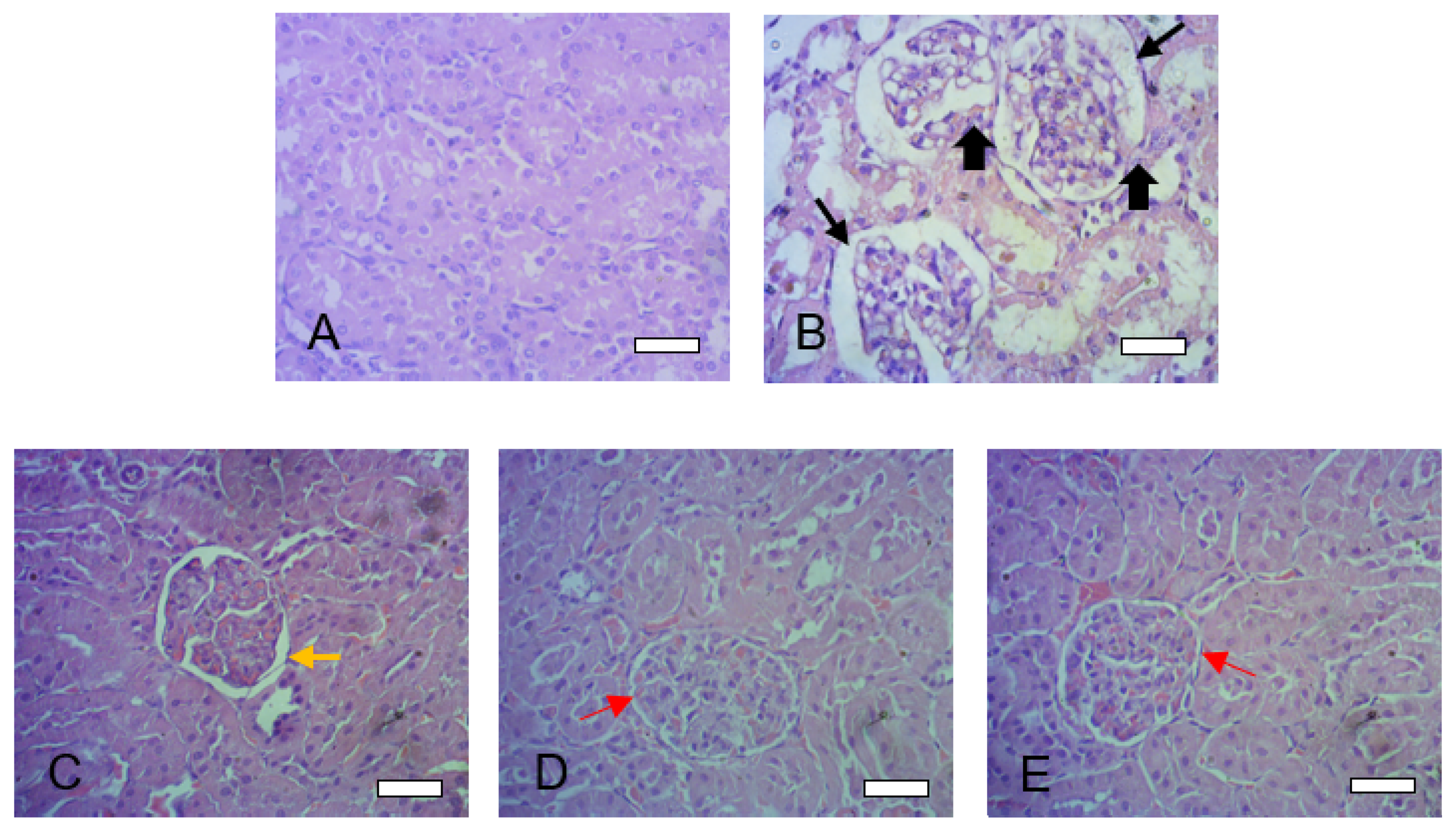 Preprints 67197 g009