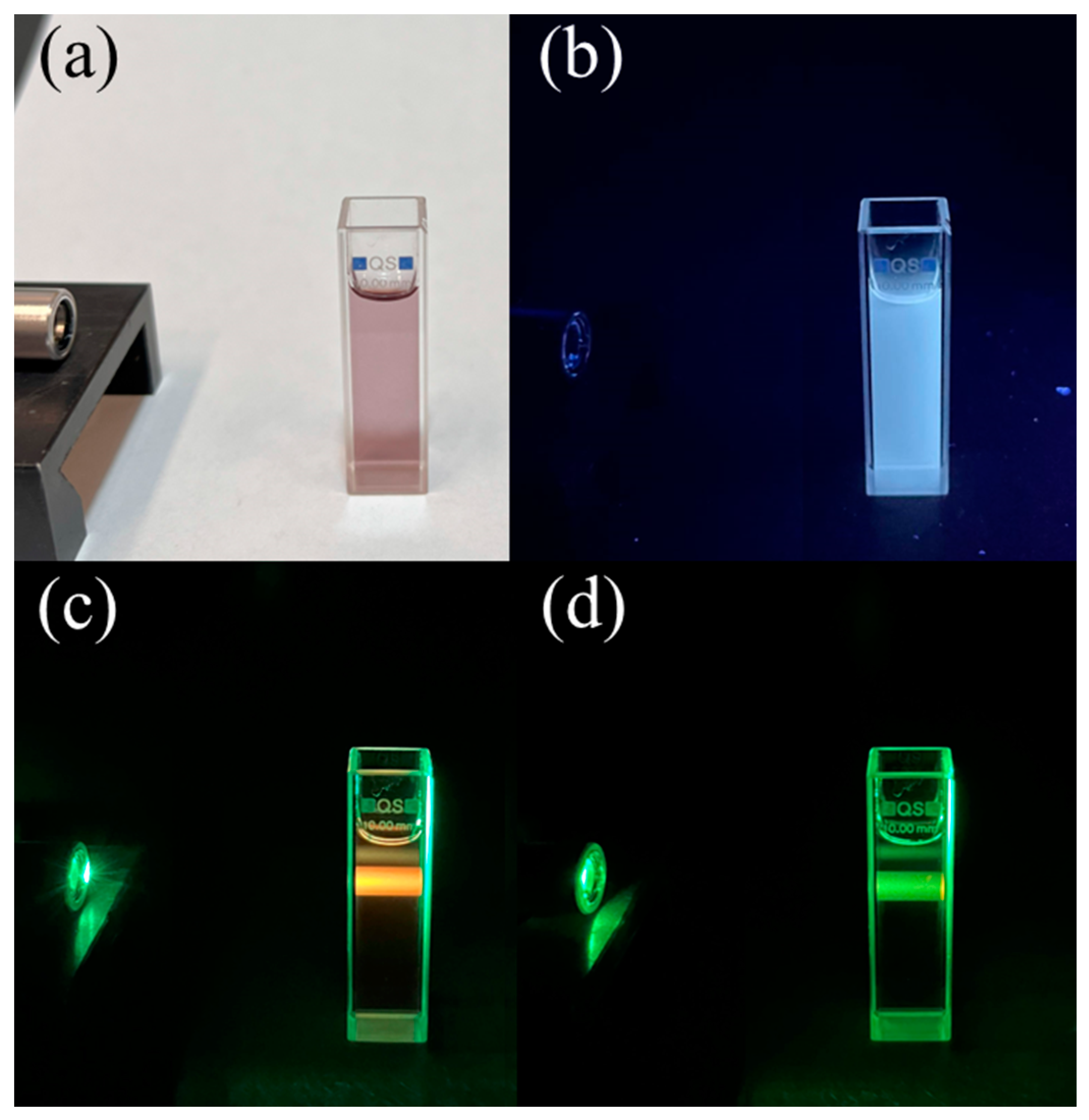 Preprints 111558 g006