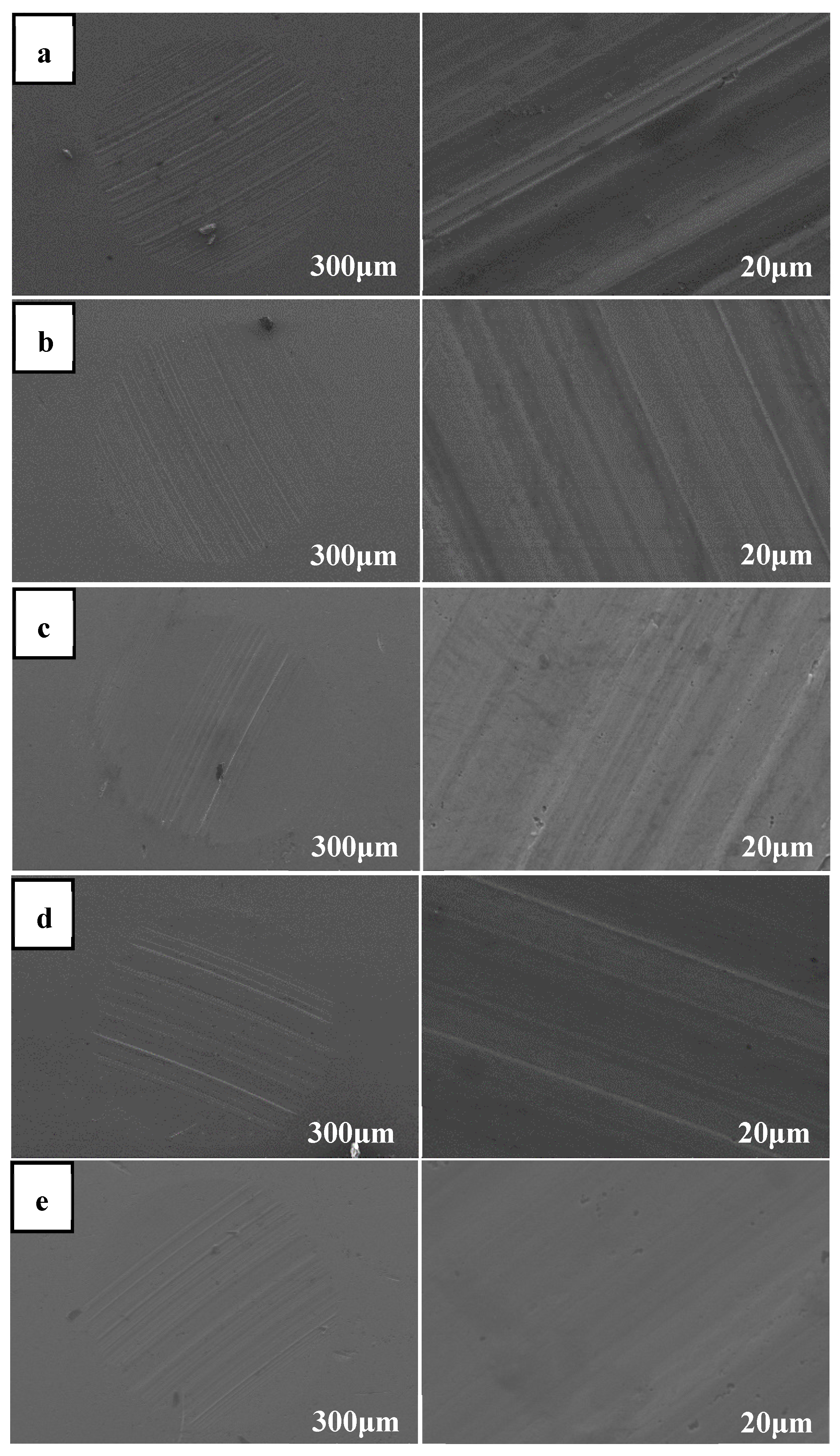 Preprints 90587 g006