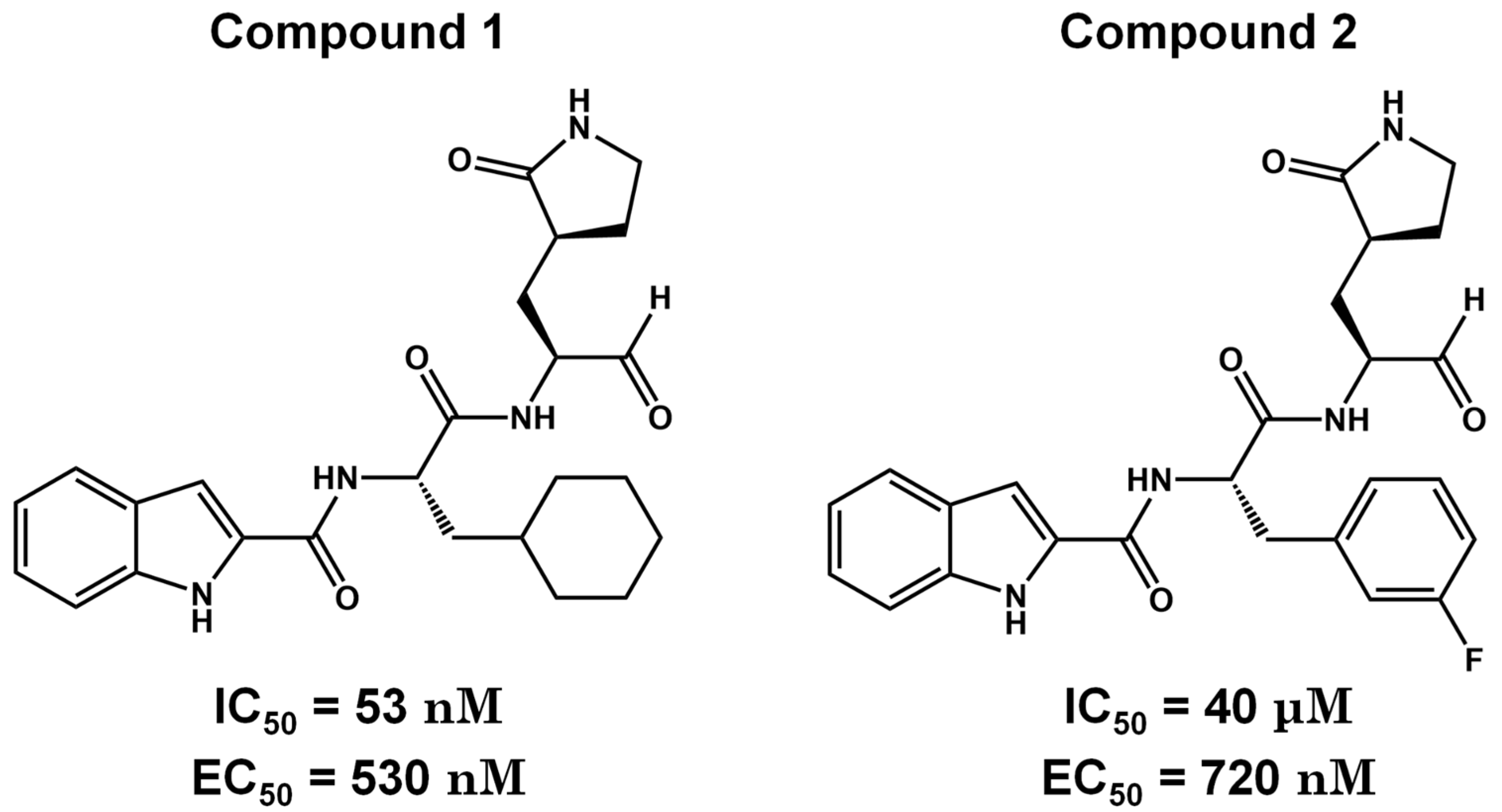 Preprints 105453 g009