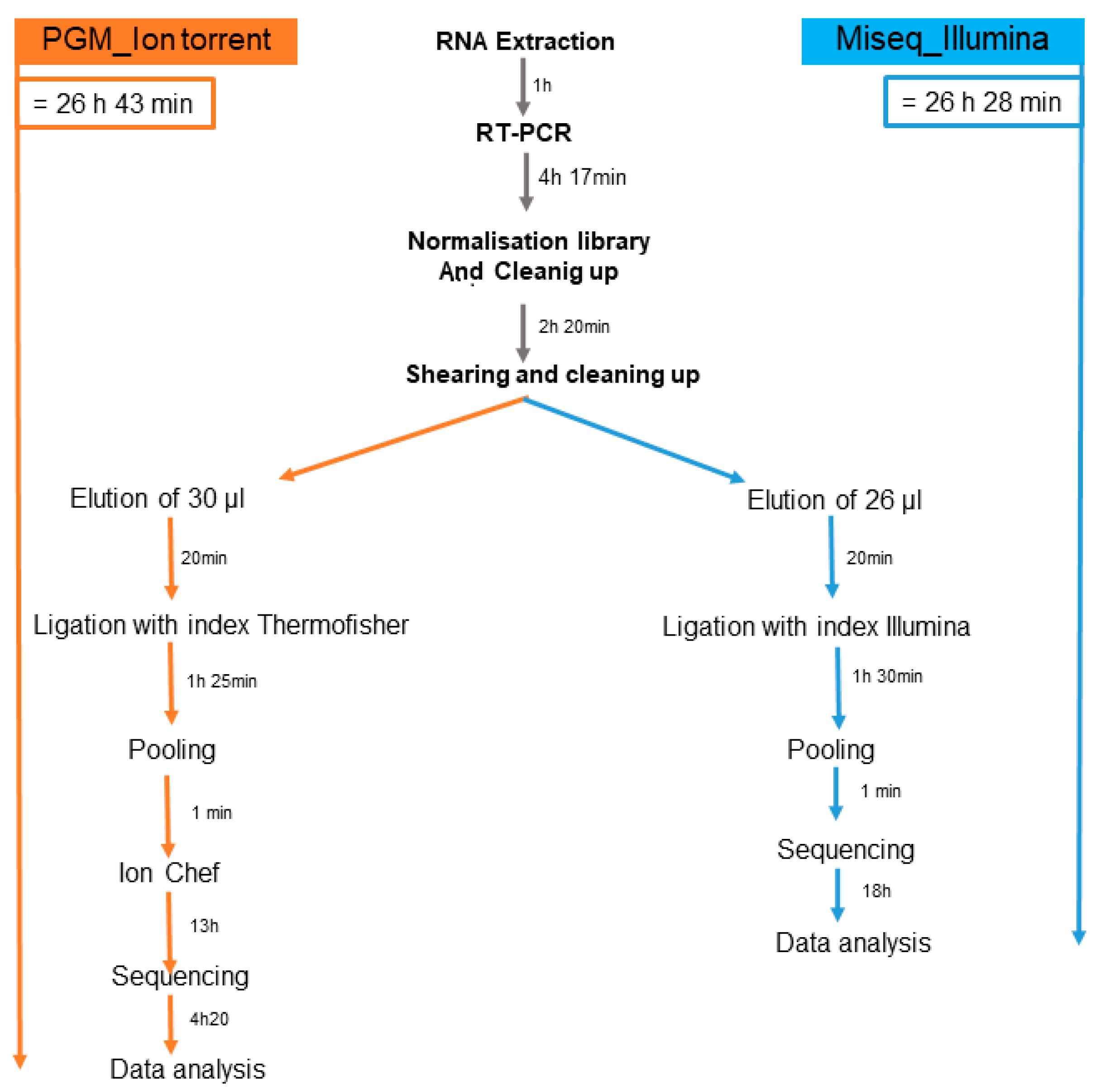 Preprints 97067 g003