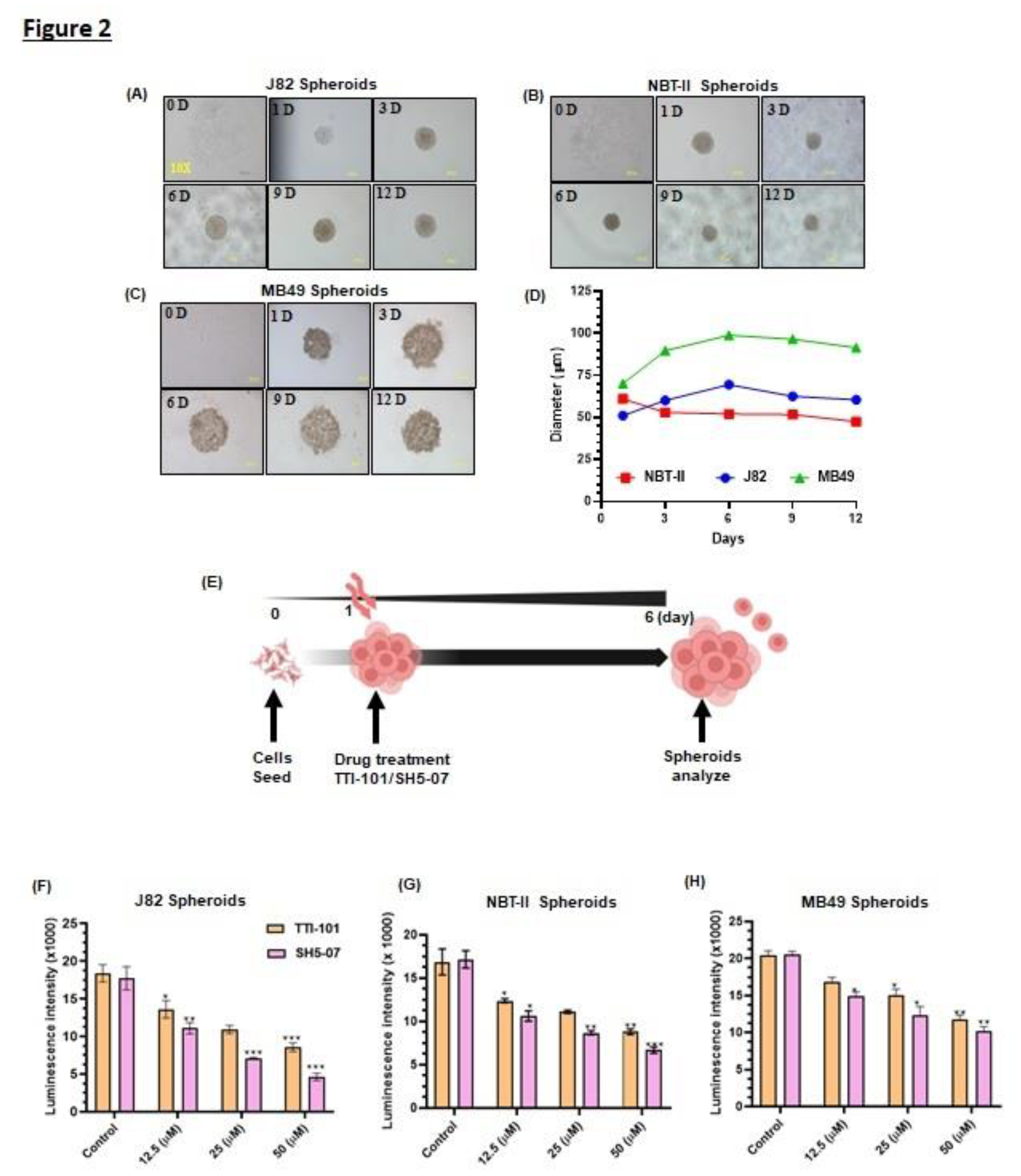 Preprints 112415 g002a