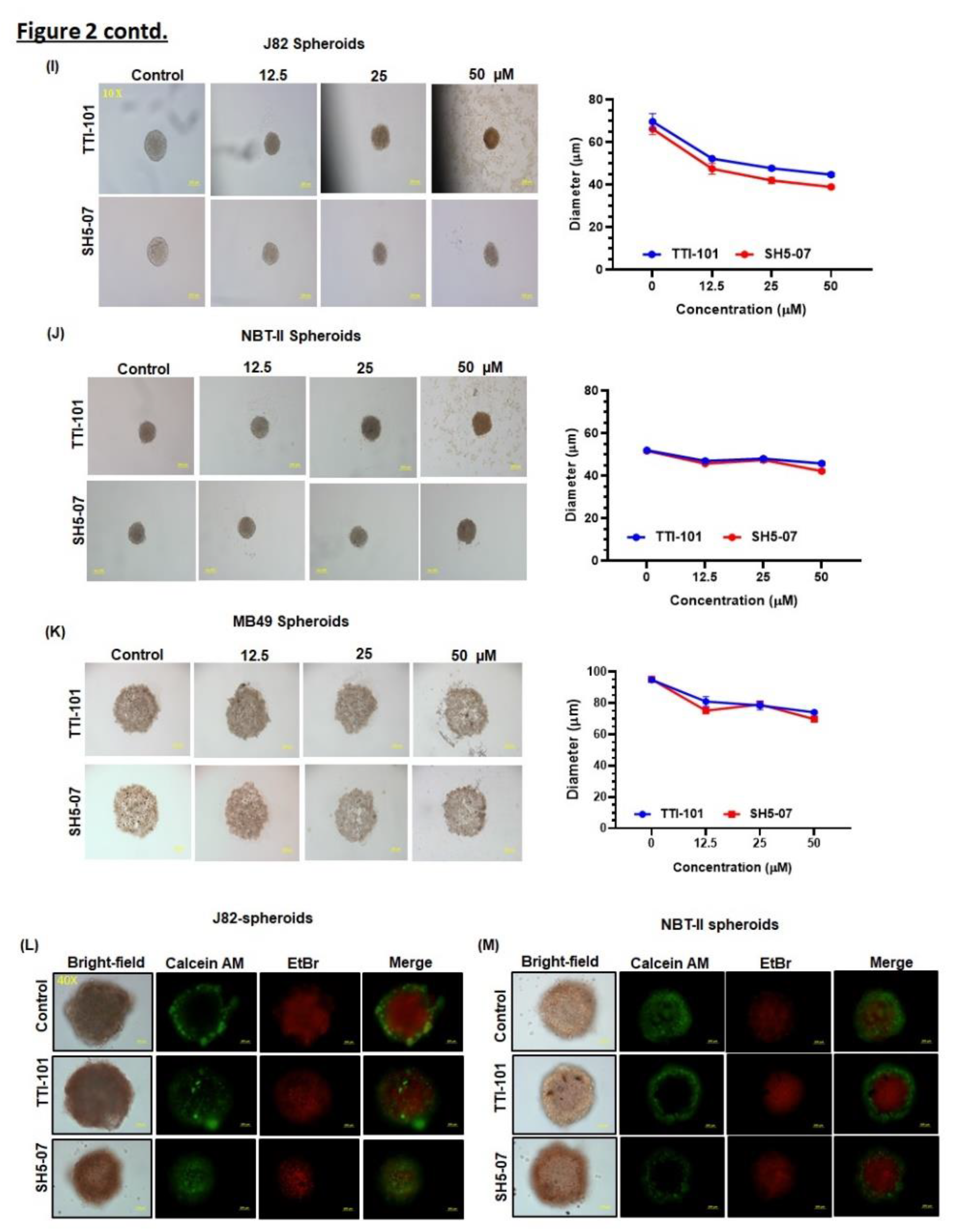 Preprints 112415 g002b