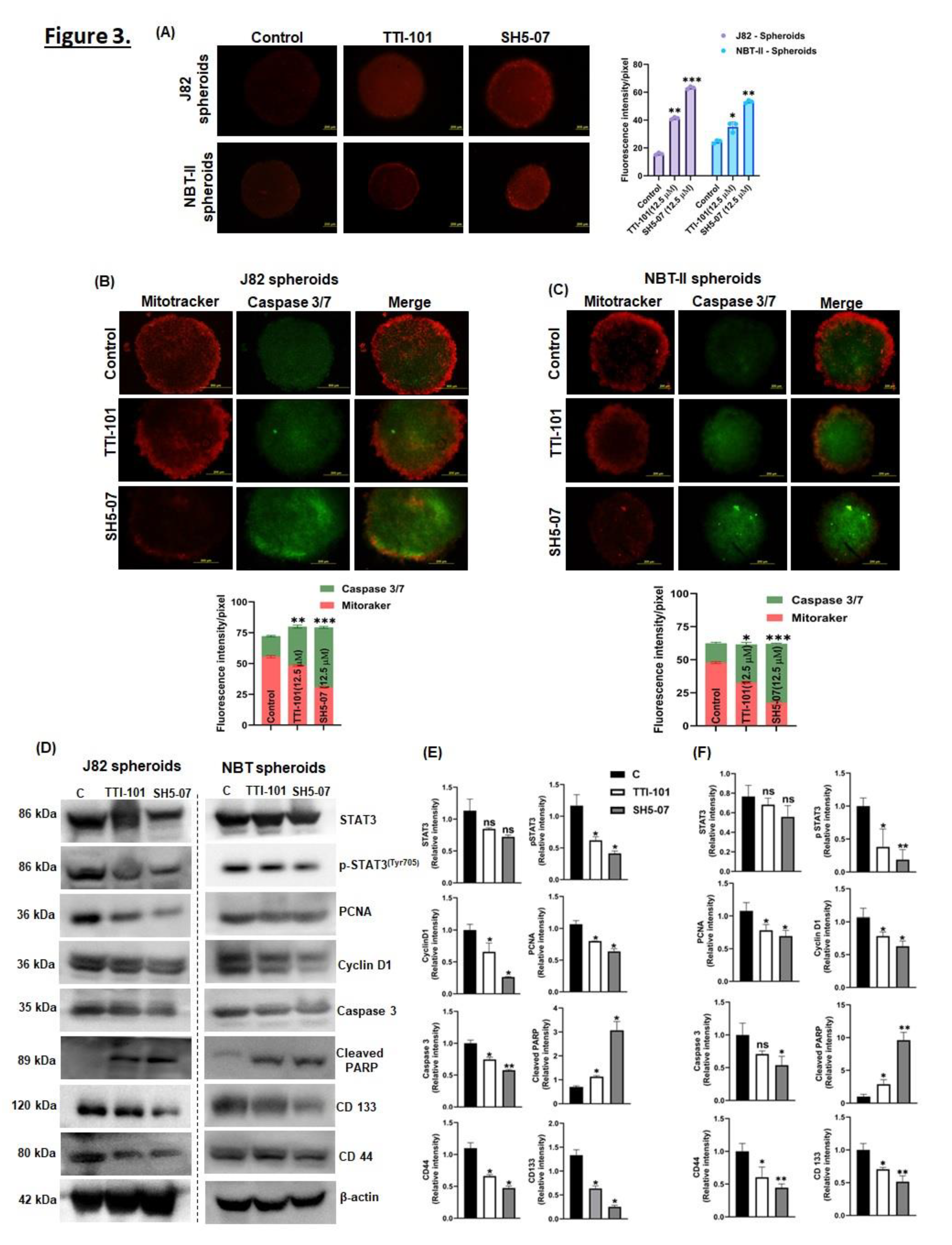 Preprints 112415 g003