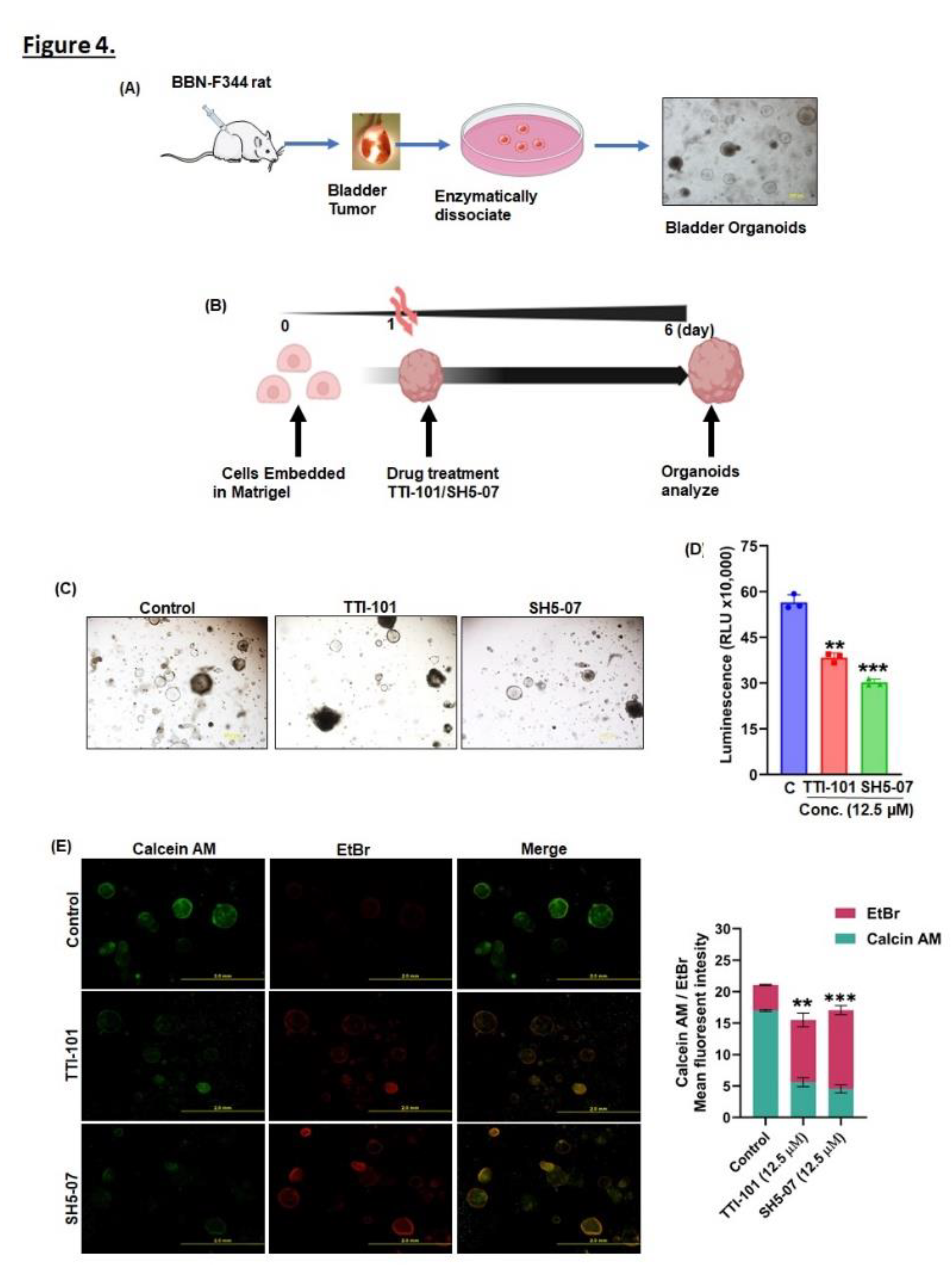 Preprints 112415 g004