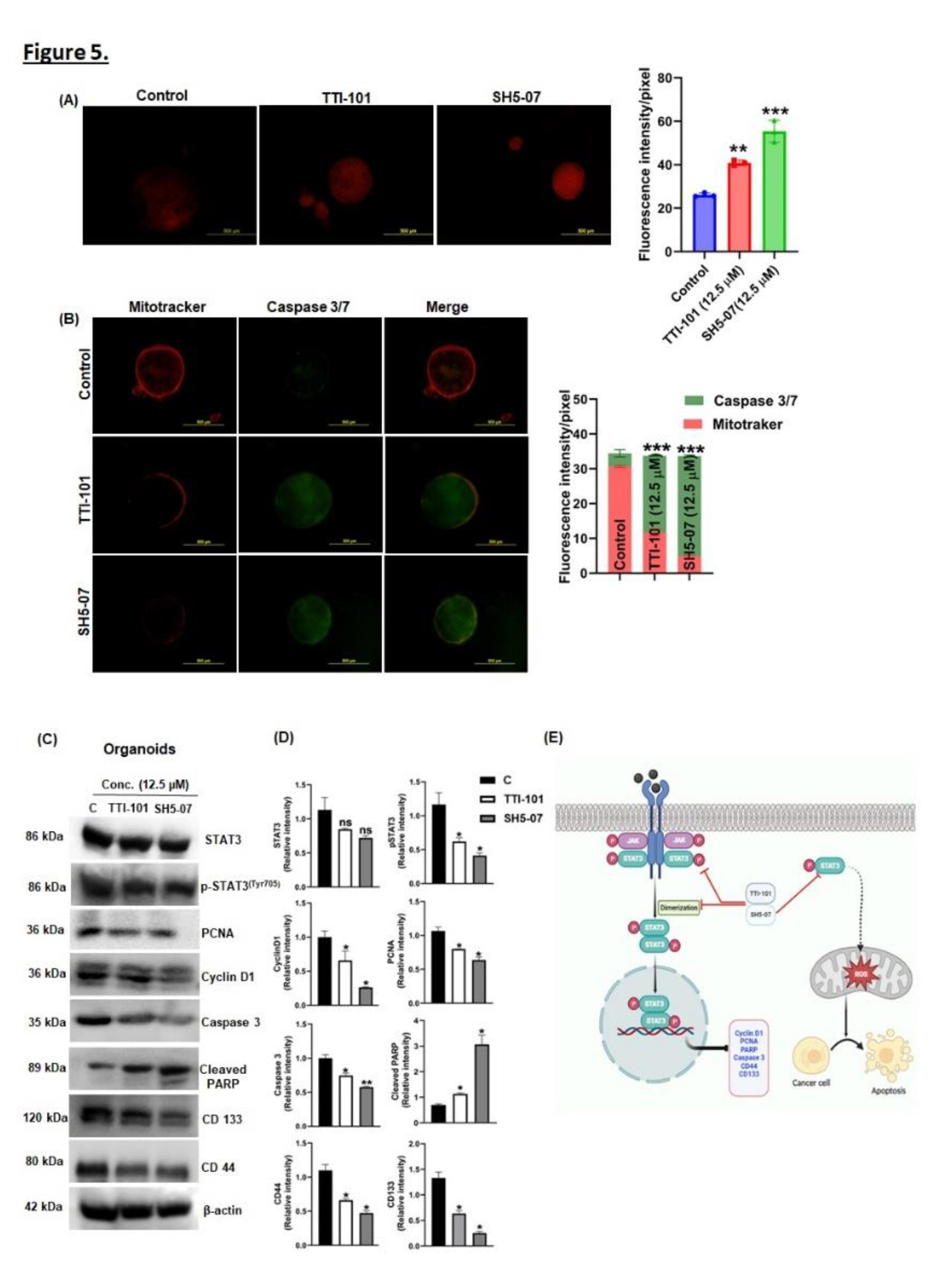 Preprints 112415 g005