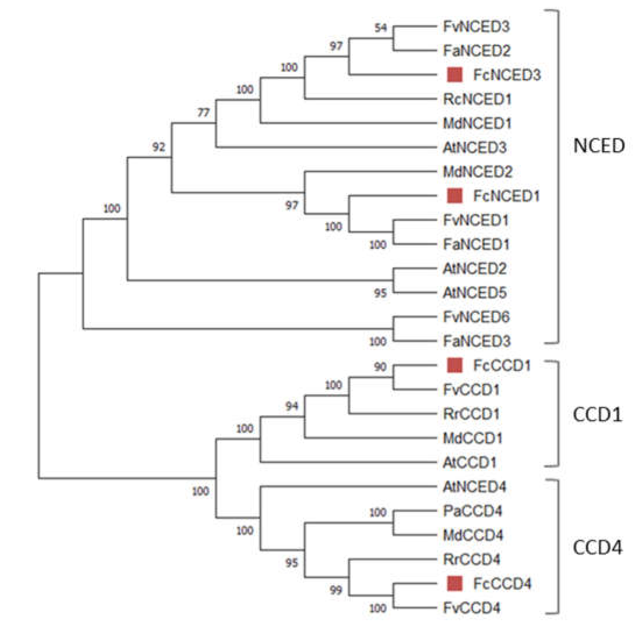 Preprints 71330 g001