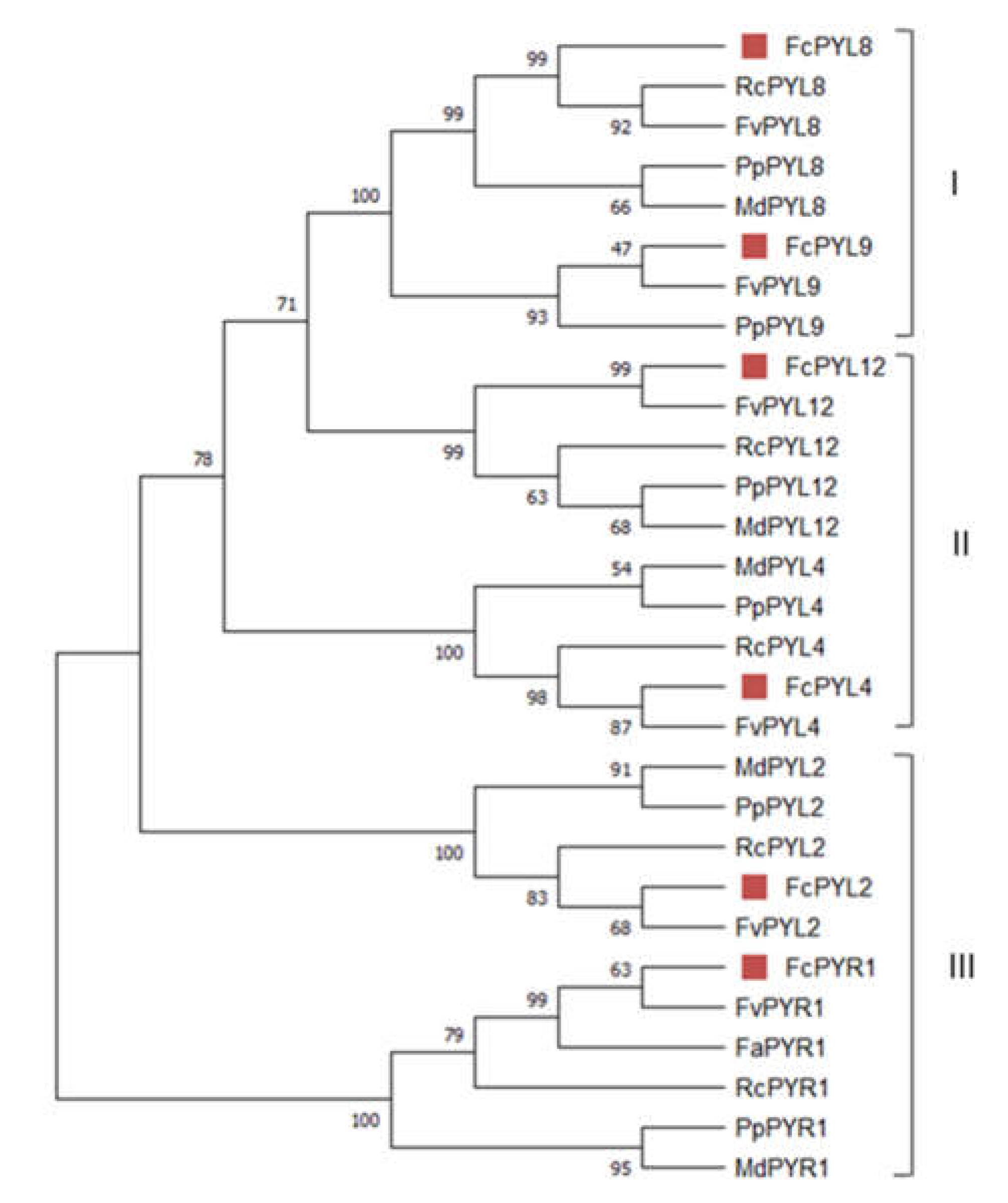 Preprints 71330 g003