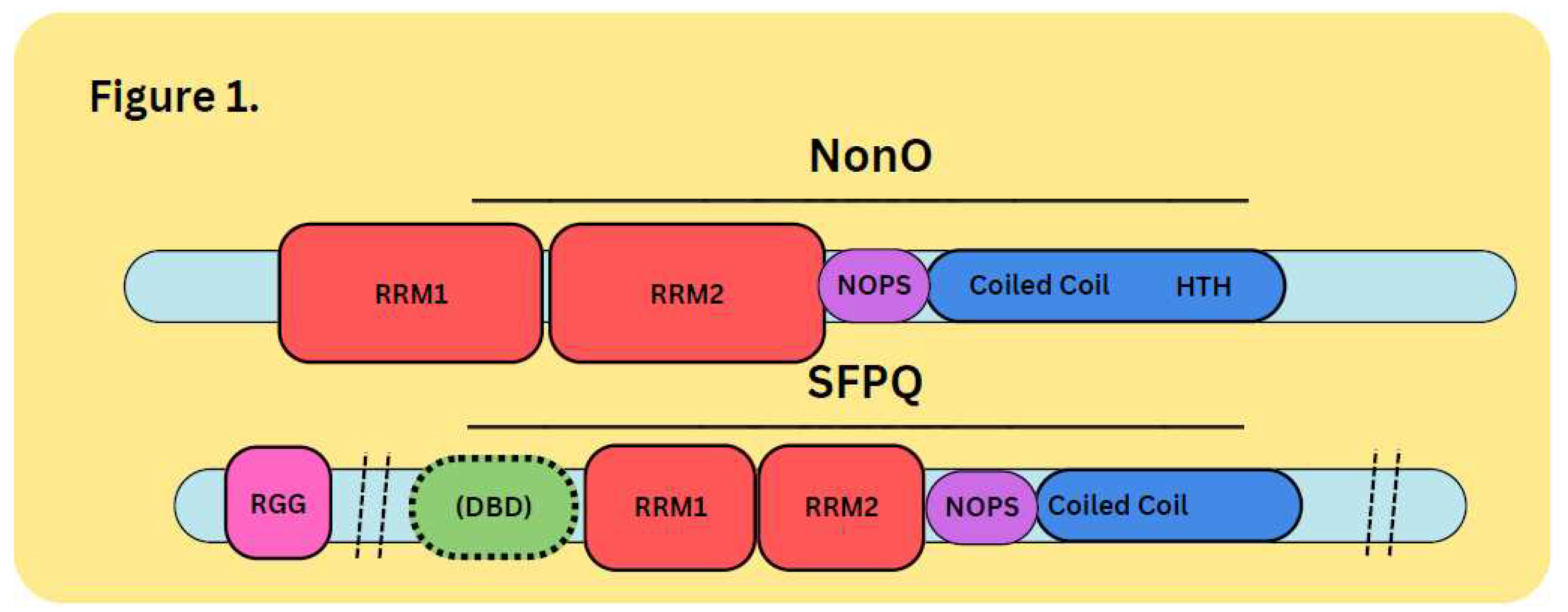 Preprints 87134 g001