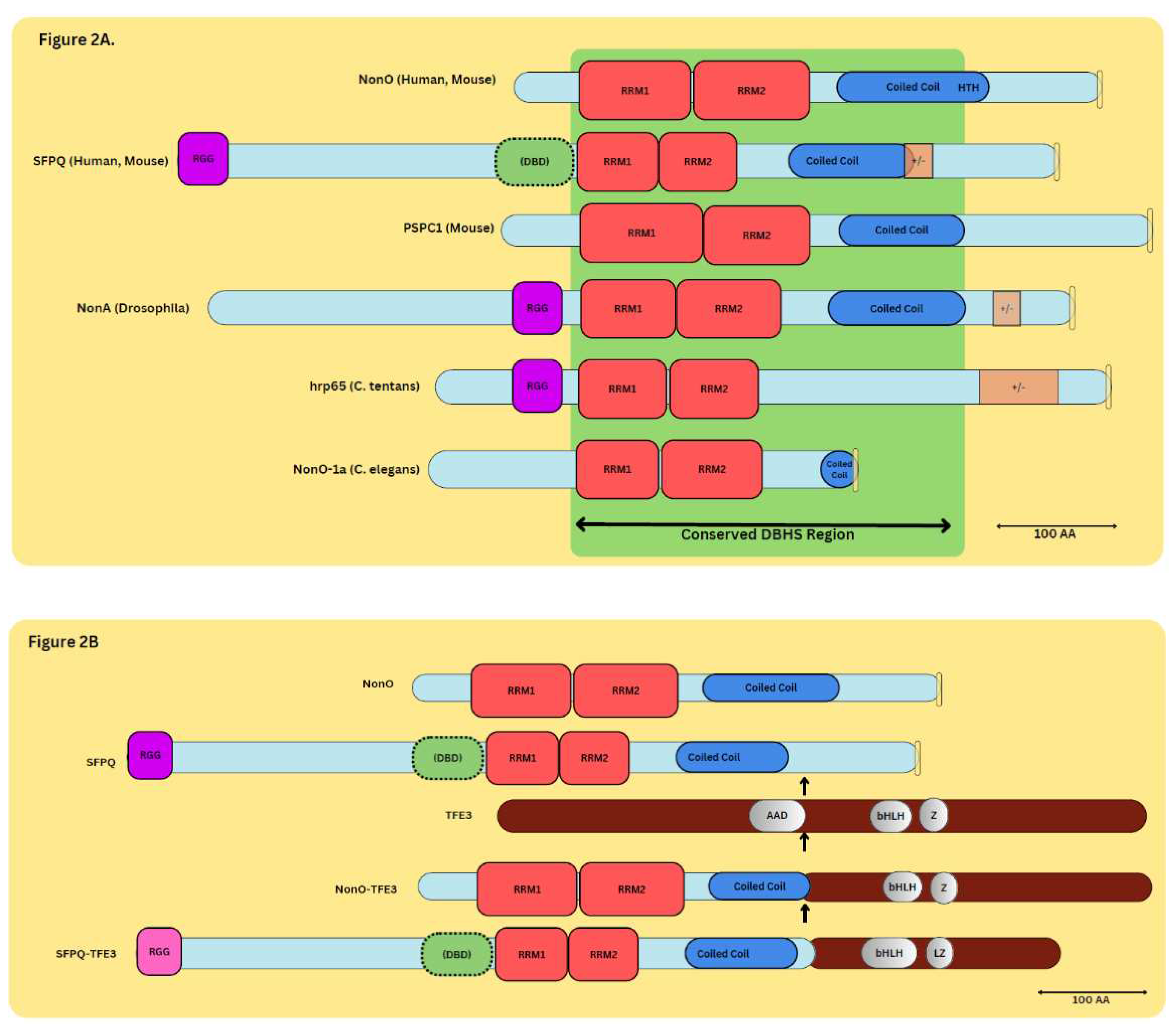 Preprints 87134 g002