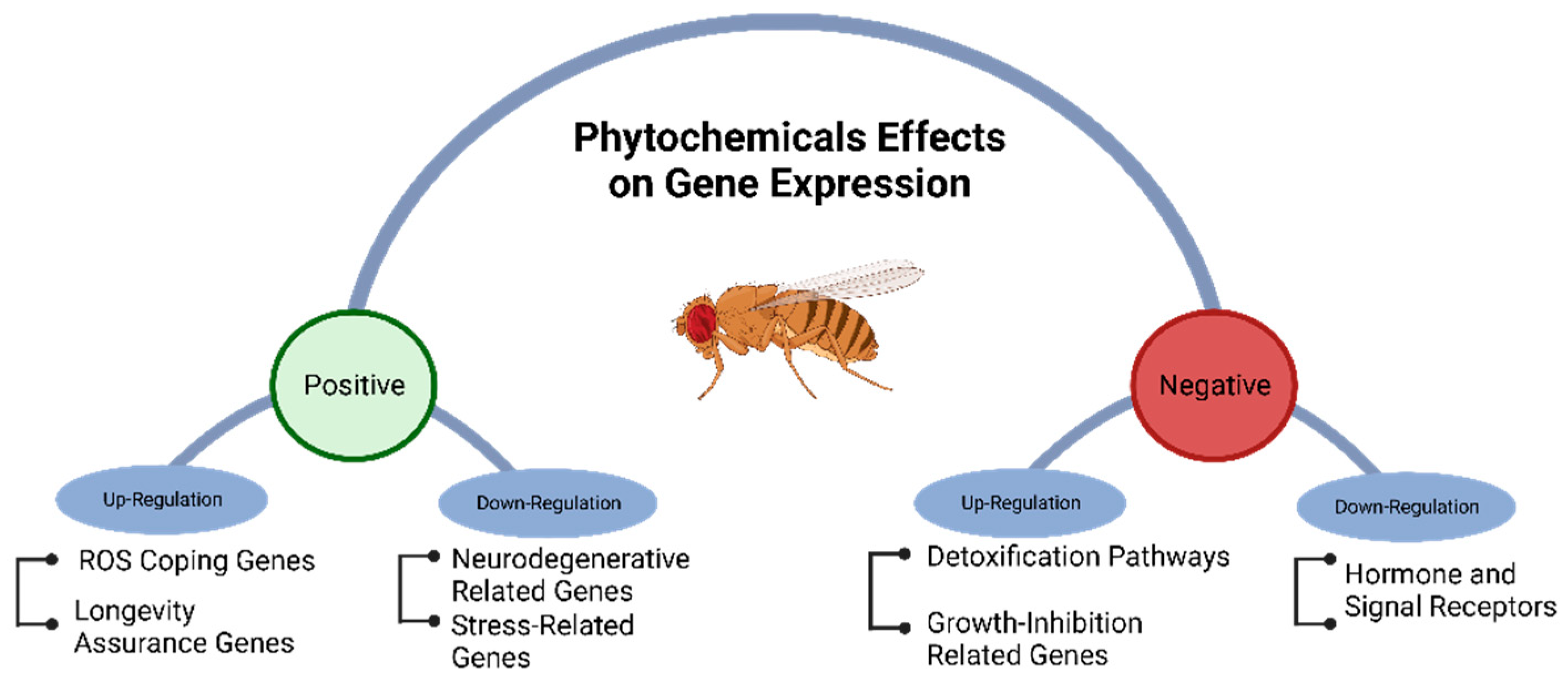 Preprints 81876 g004