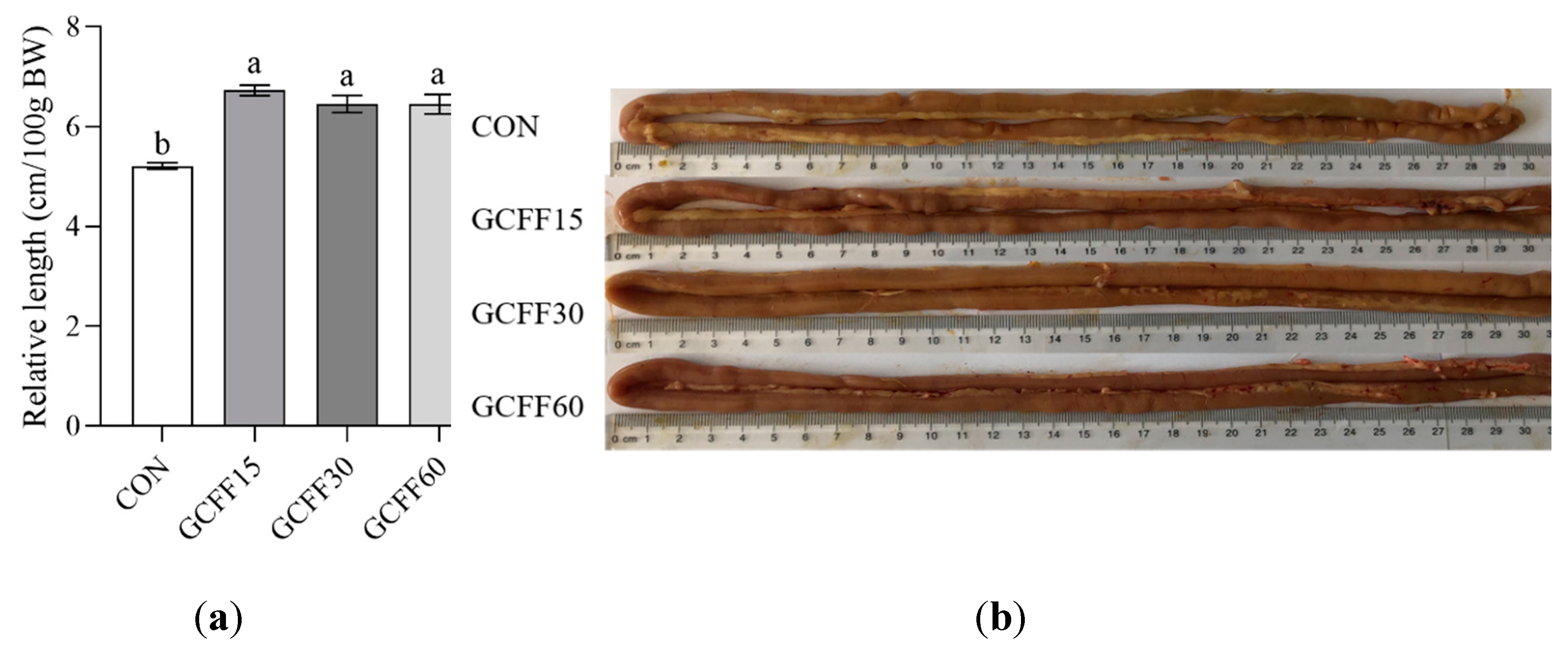 Preprints 89130 g001a