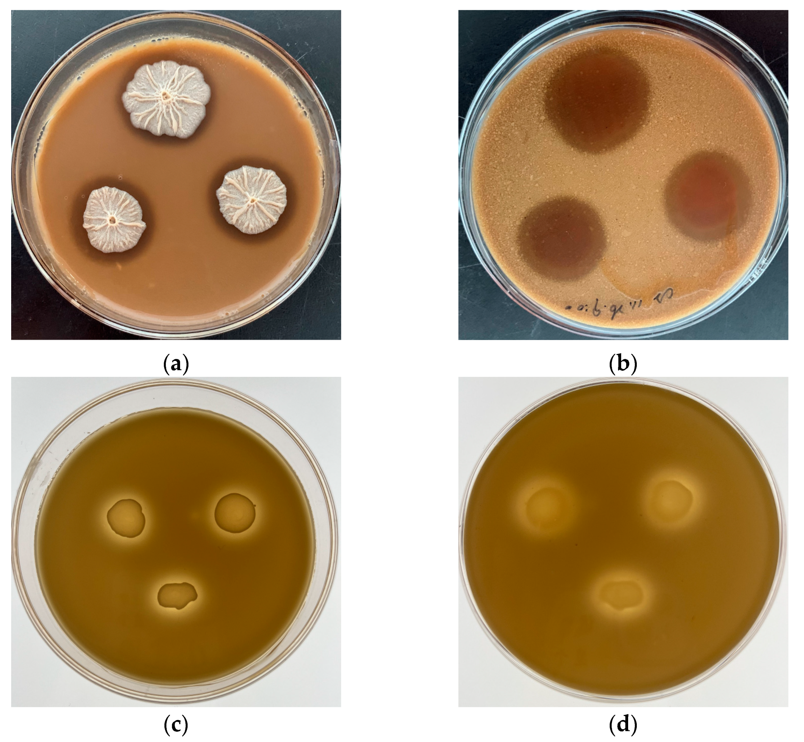 Preprints 89130 g0a1