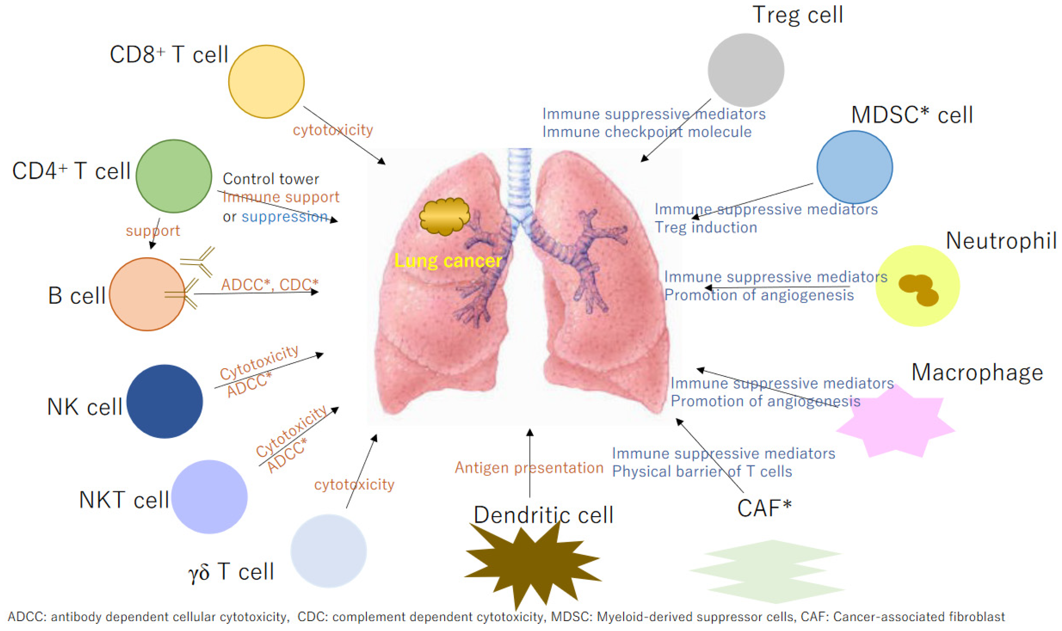 Preprints 119046 g001