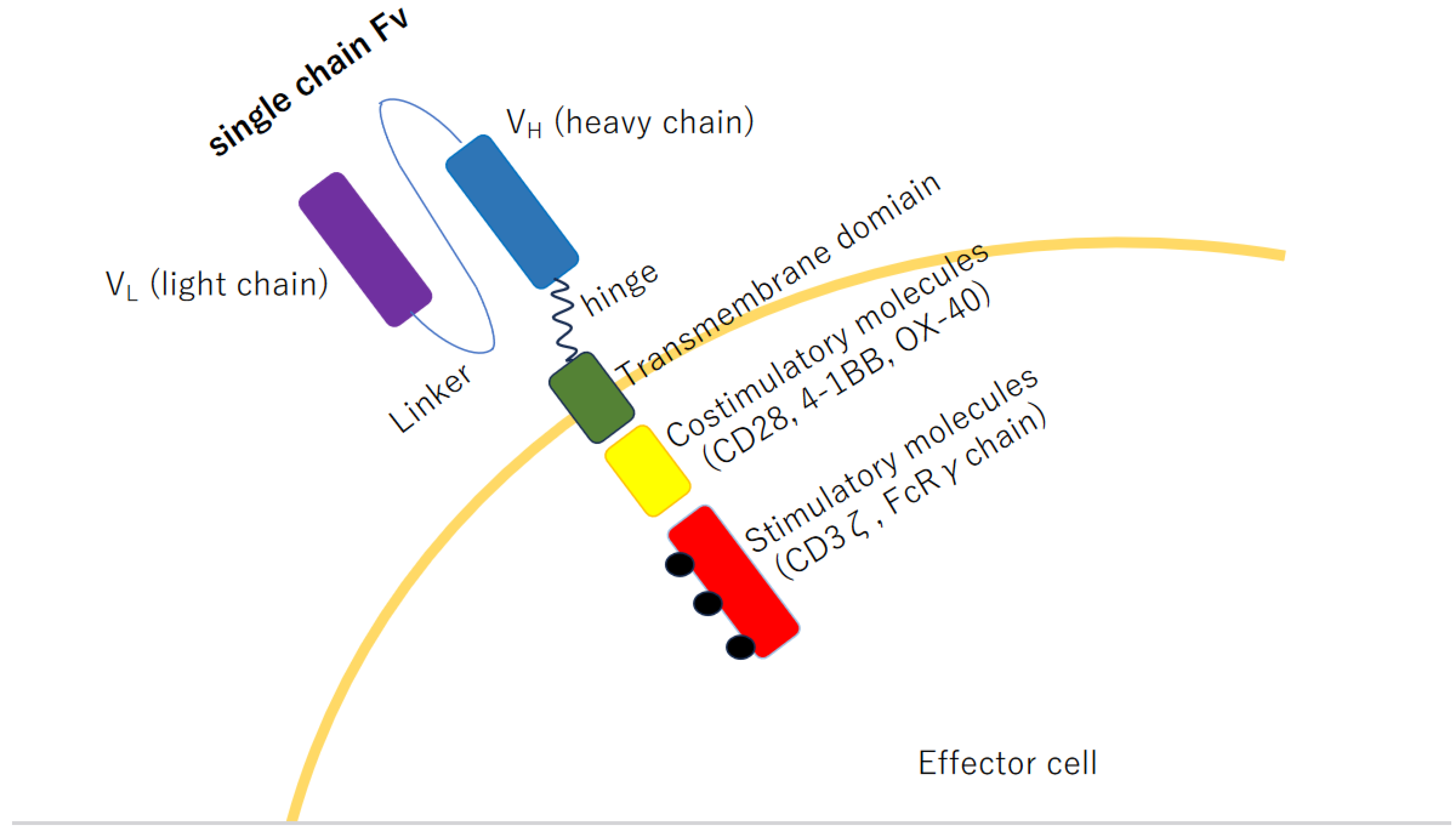 Preprints 119046 g002