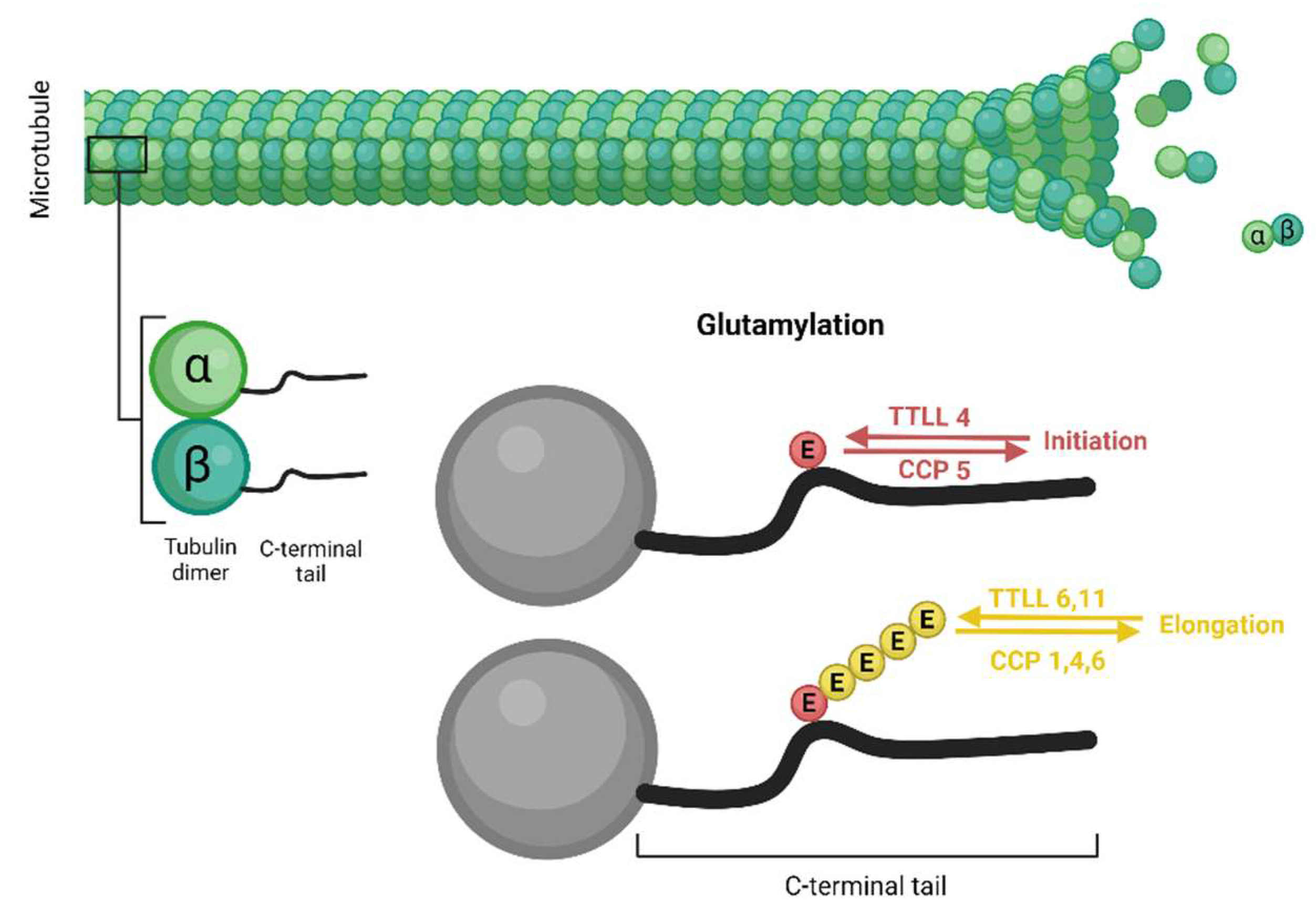 Preprints 95040 g003