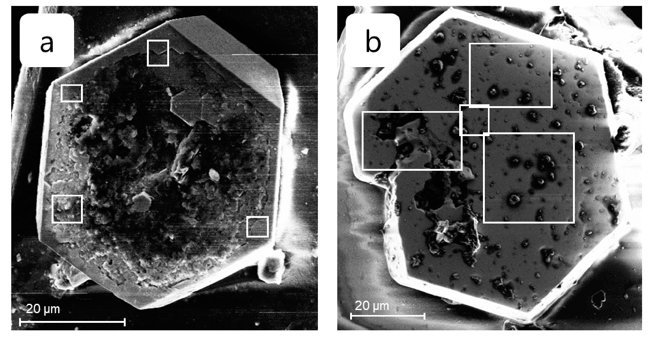 Preprints 90367 g003