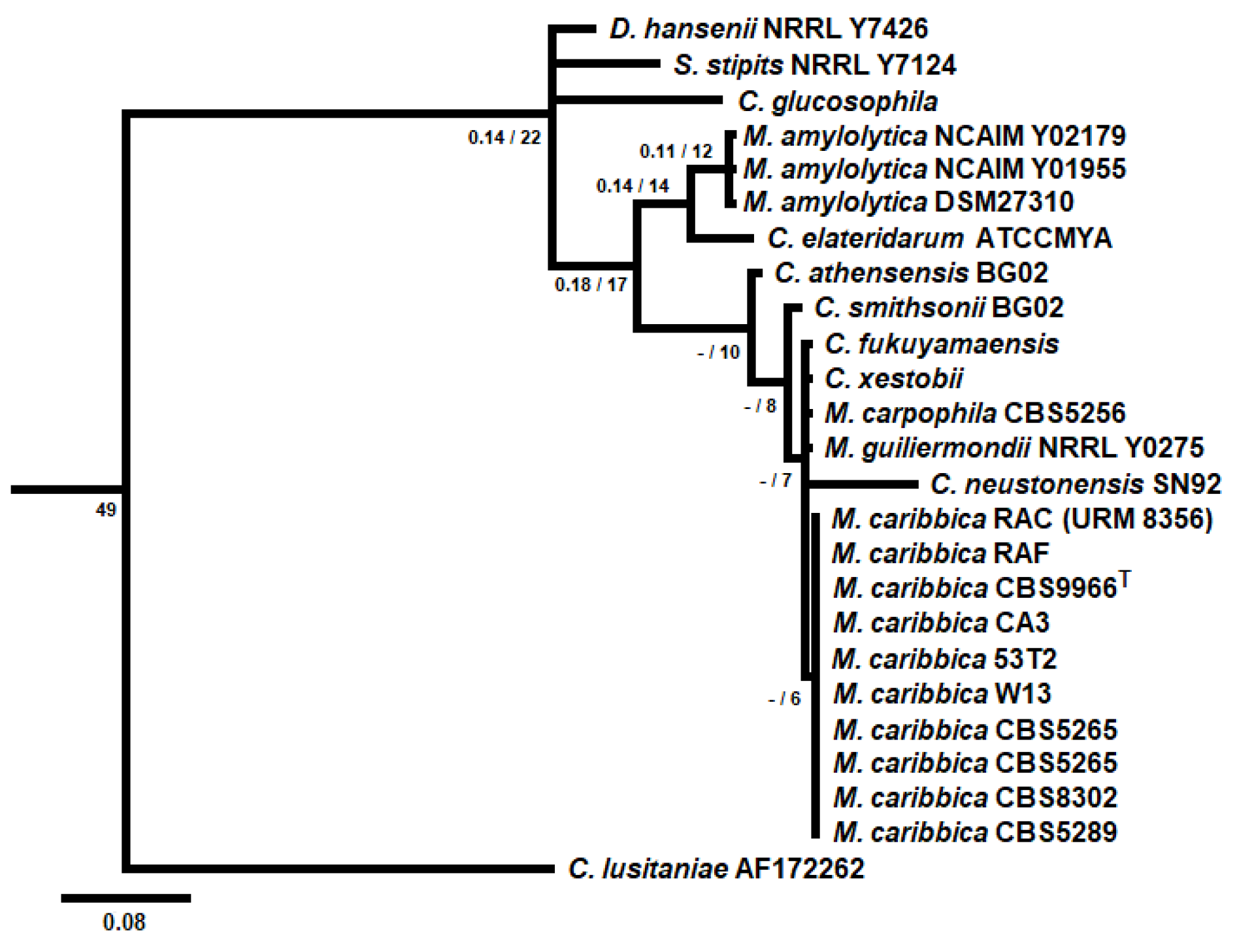 Preprints 77295 g001