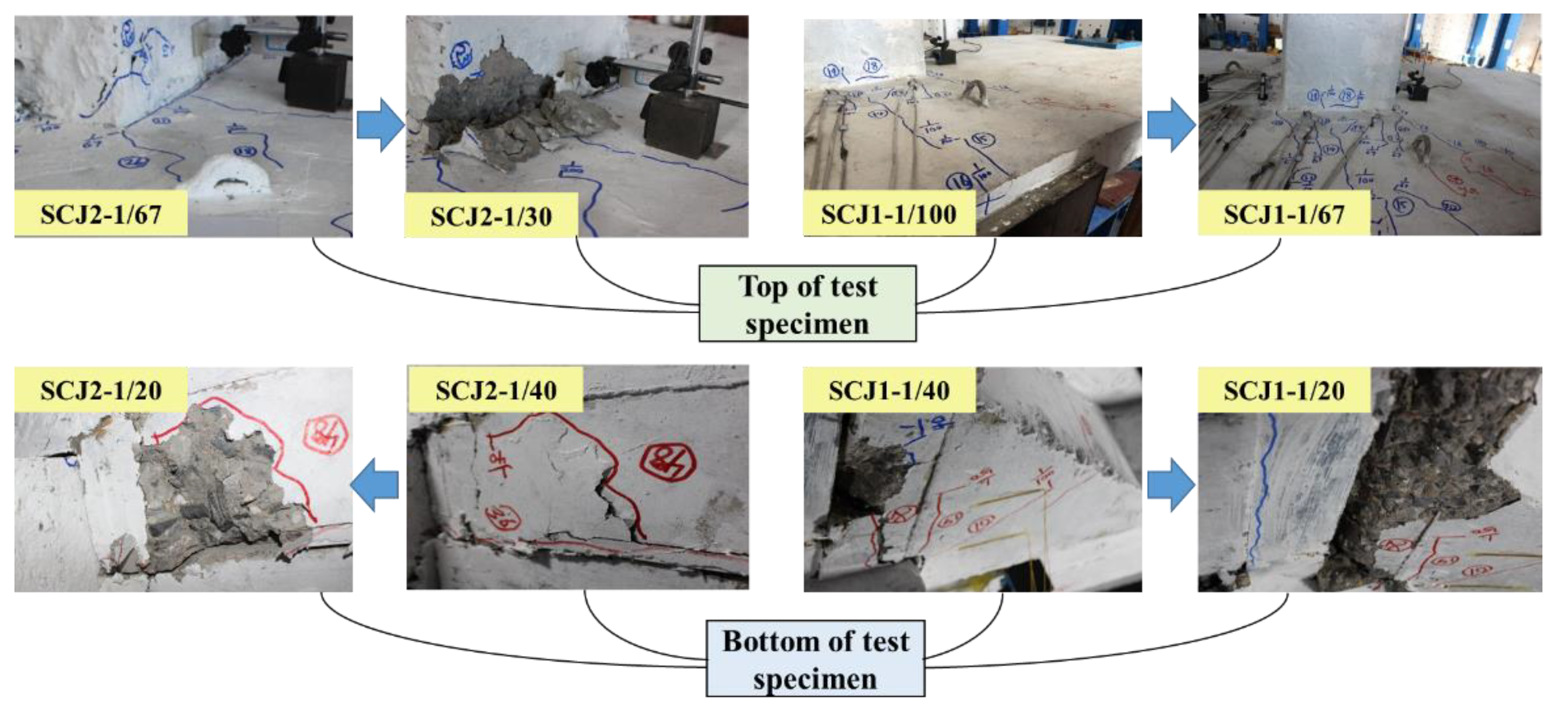 Preprints 104607 g007