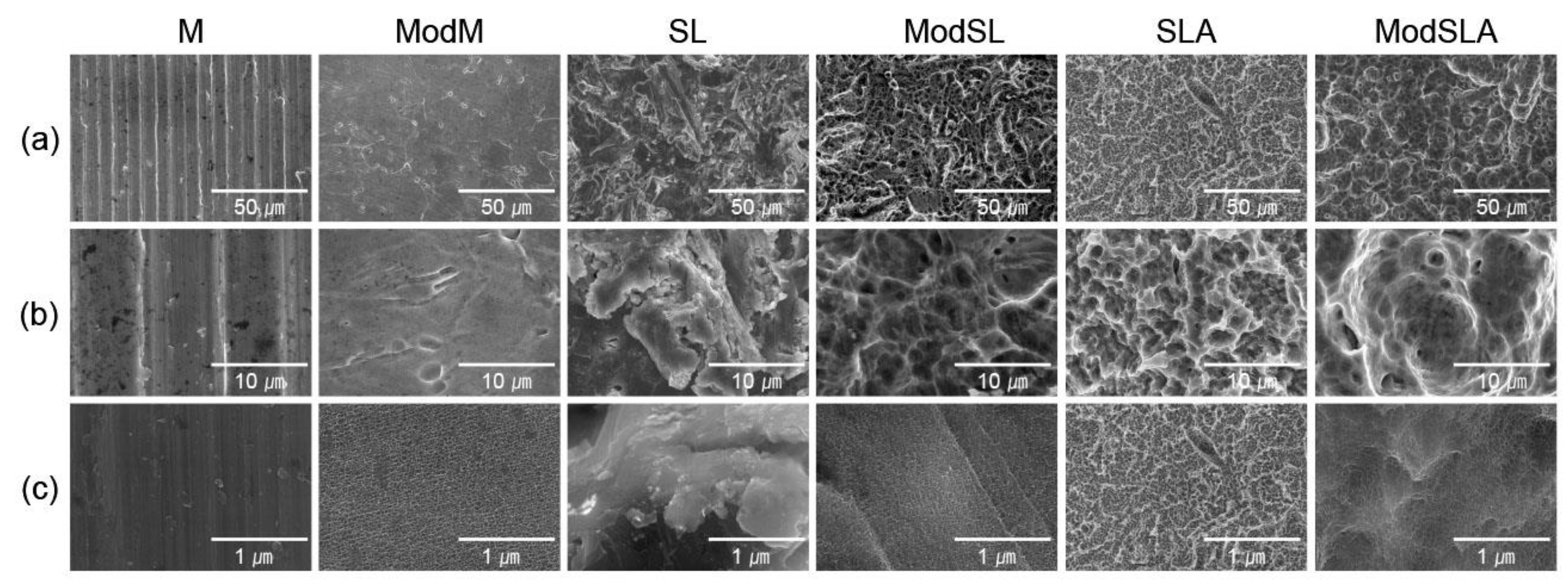 Preprints 79054 g001