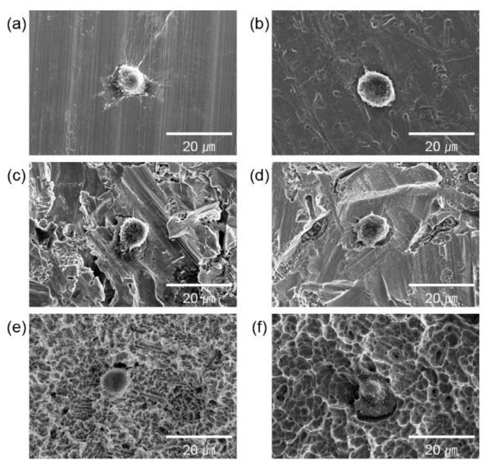 Preprints 79054 g003