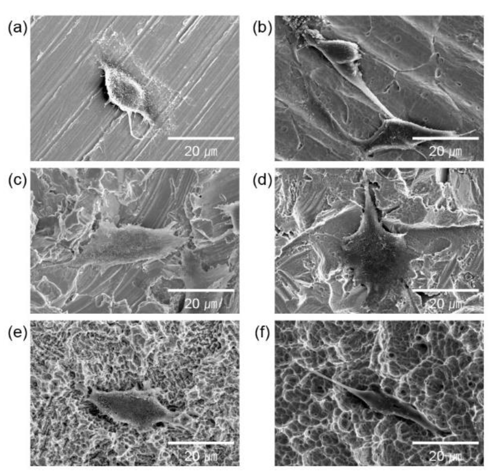 Preprints 79054 g004