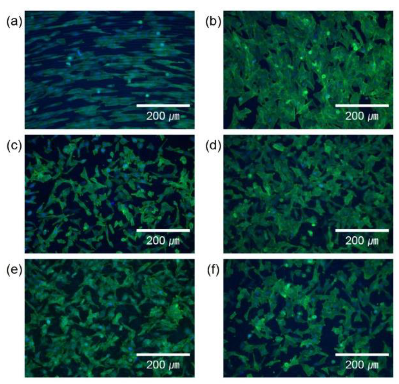 Preprints 79054 g005