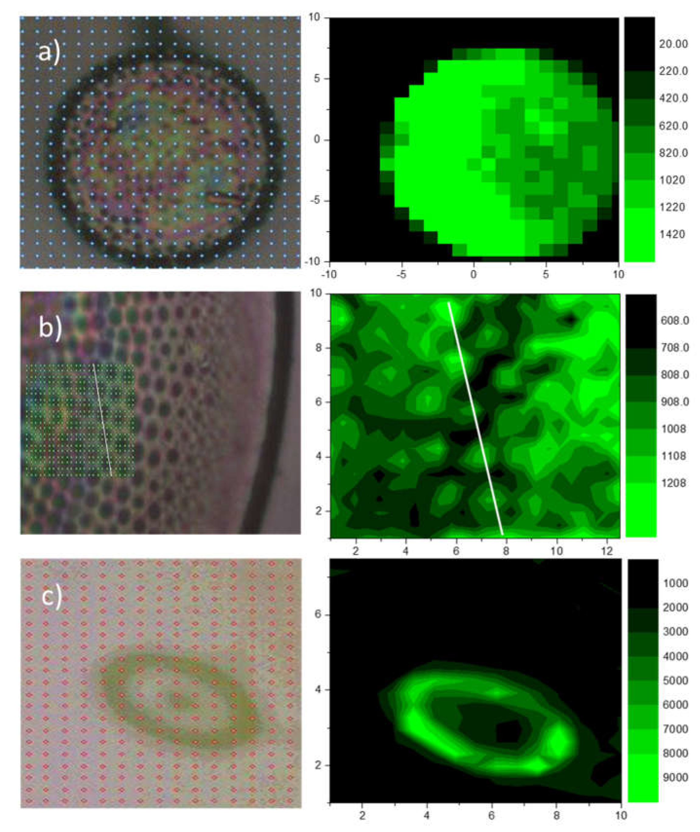 Preprints 71264 g003