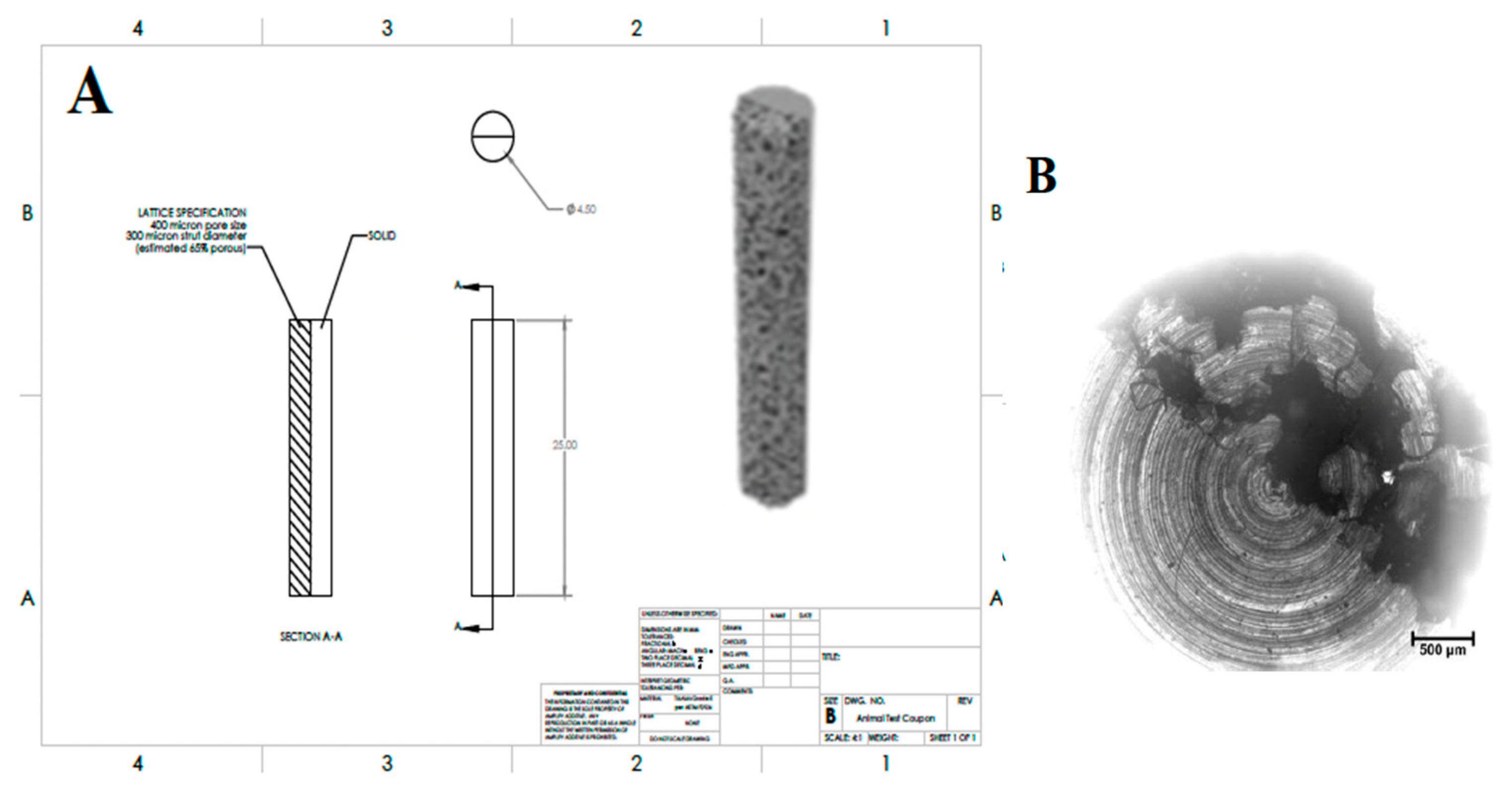 Preprints 87101 g001