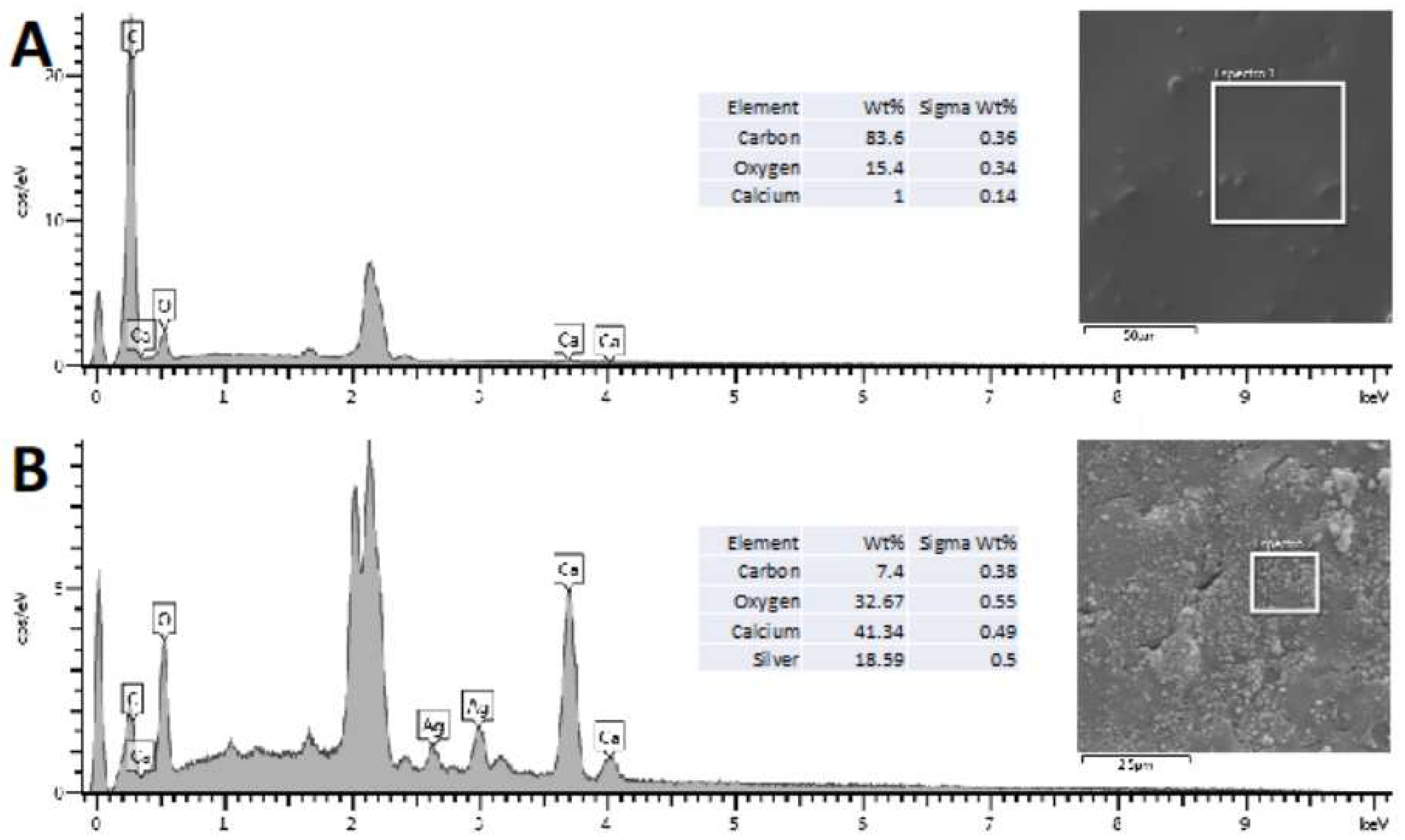 Preprints 82984 g004