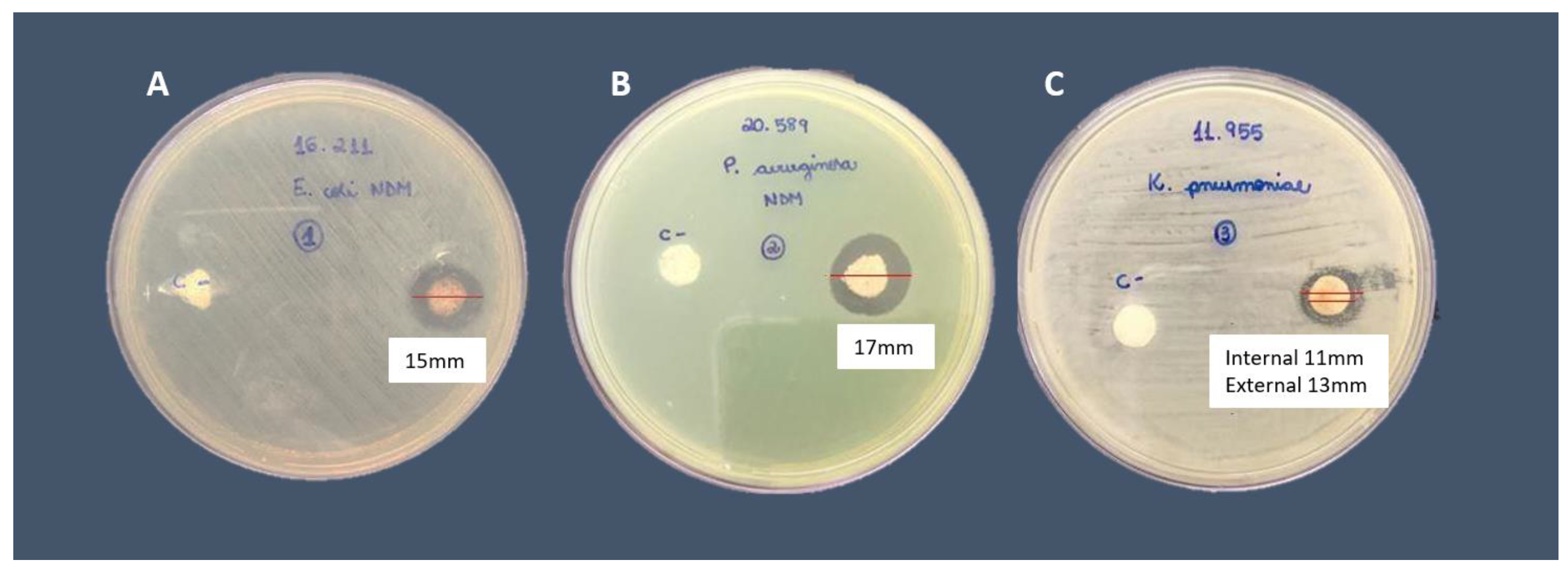 Preprints 82984 g005