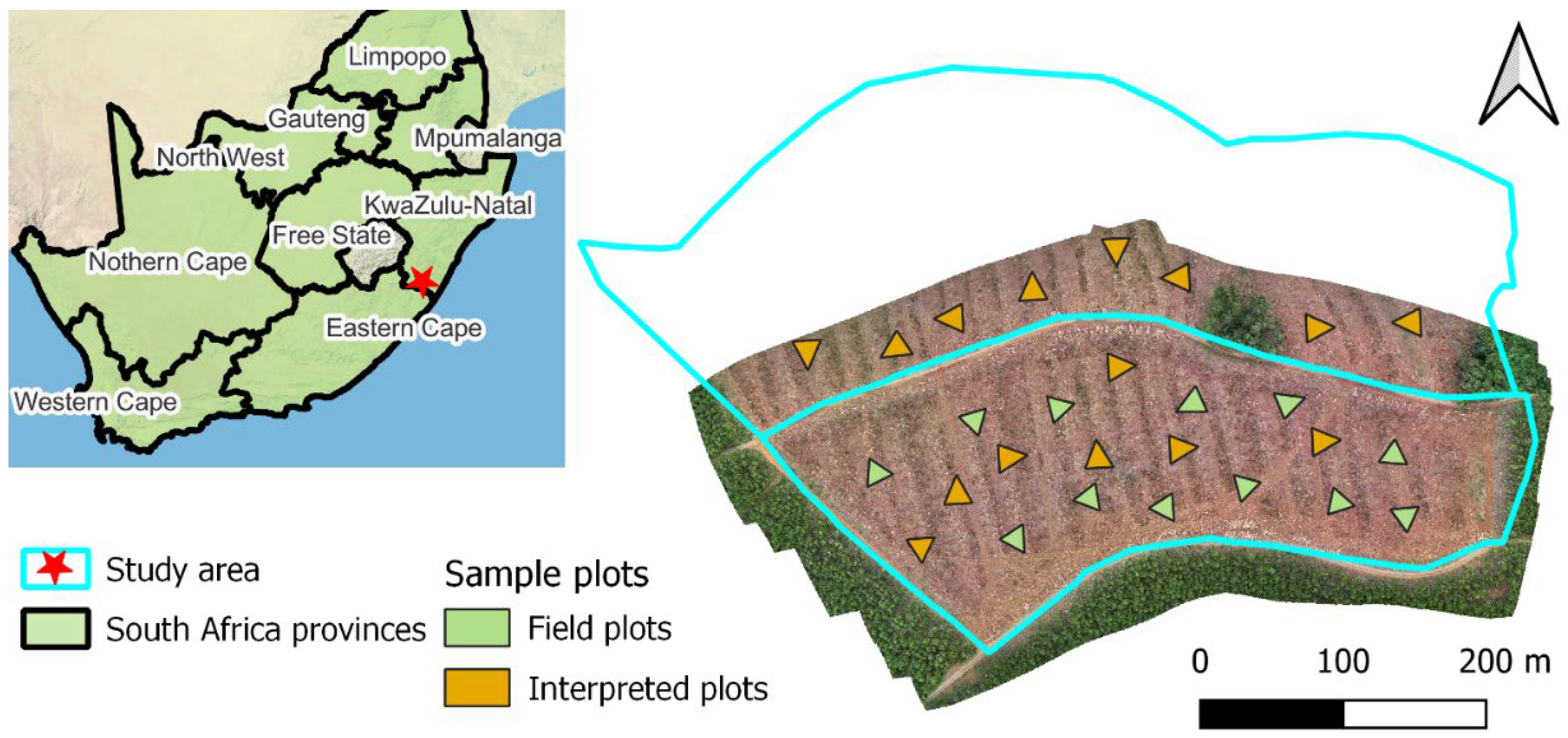 Preprints 115245 g001