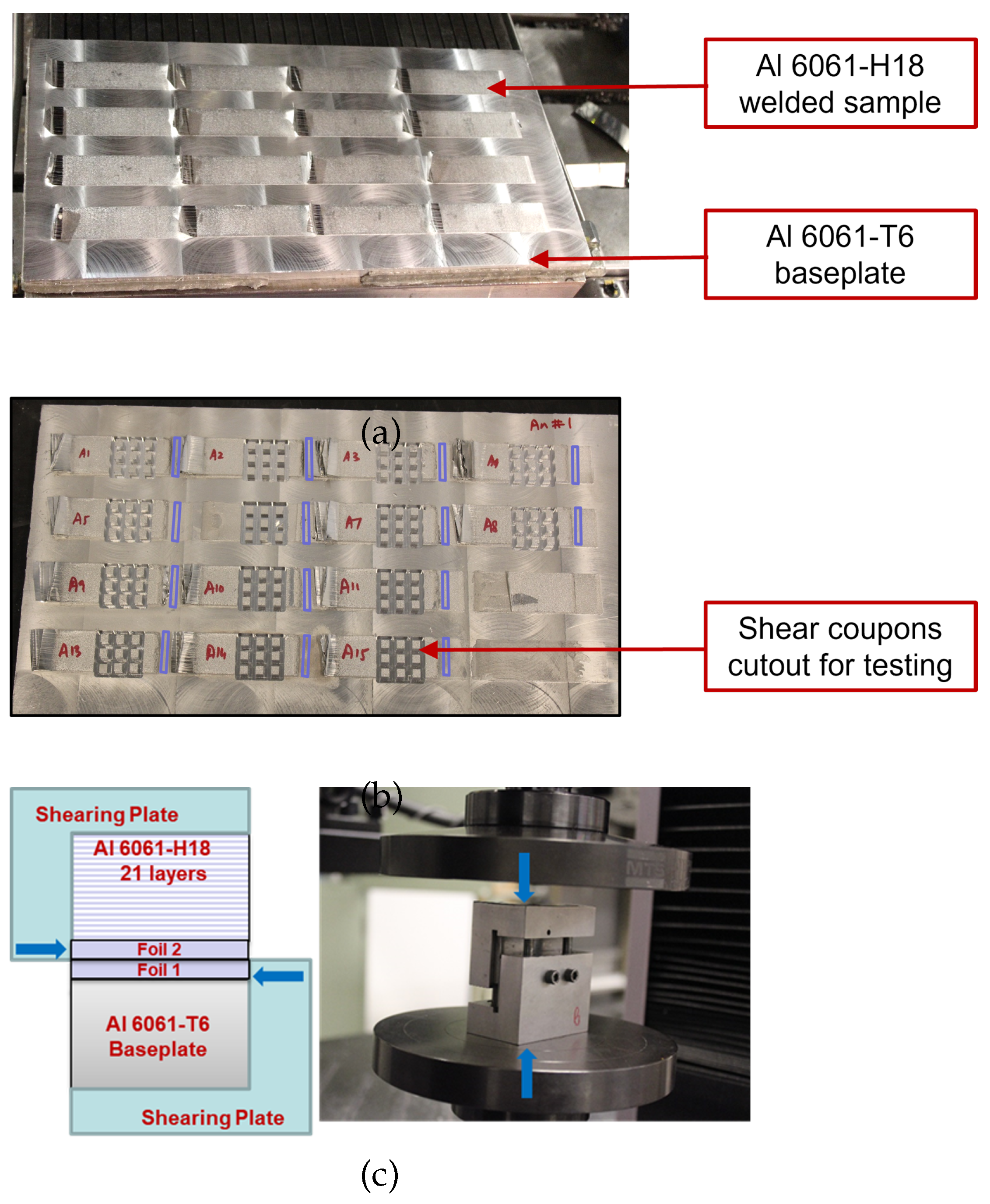 Preprints 119982 g003