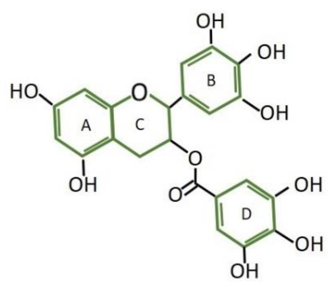 Preprints 83324 g001