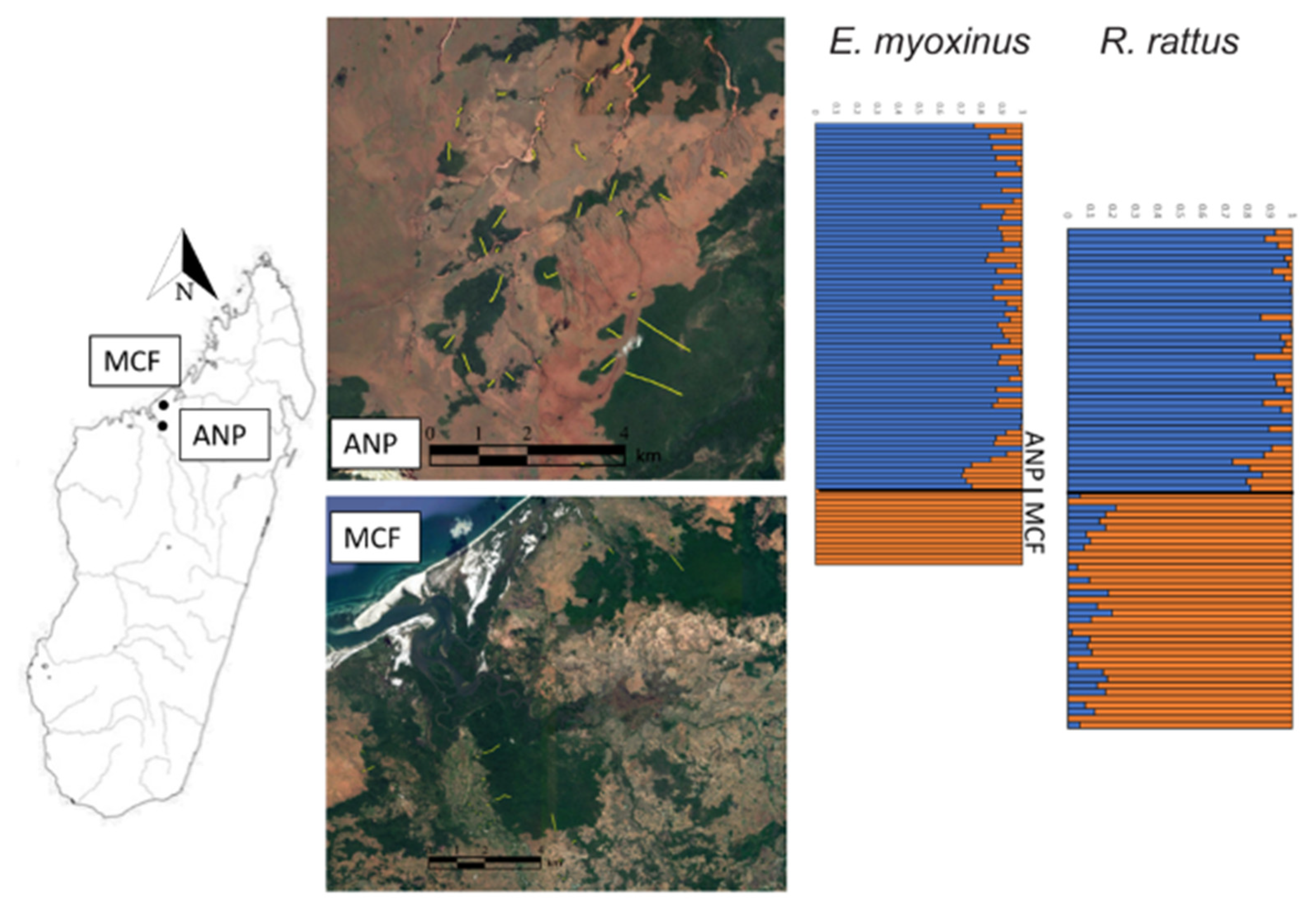 Preprints 75935 g001