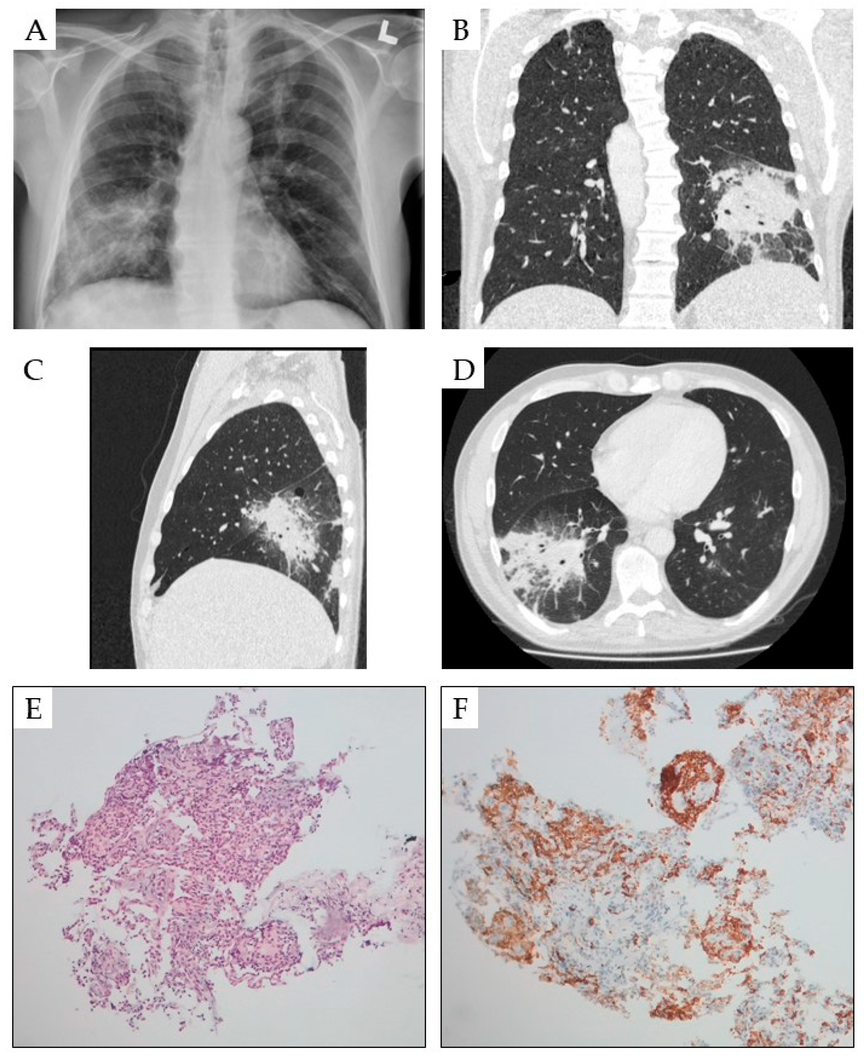 Preprints 114814 g003