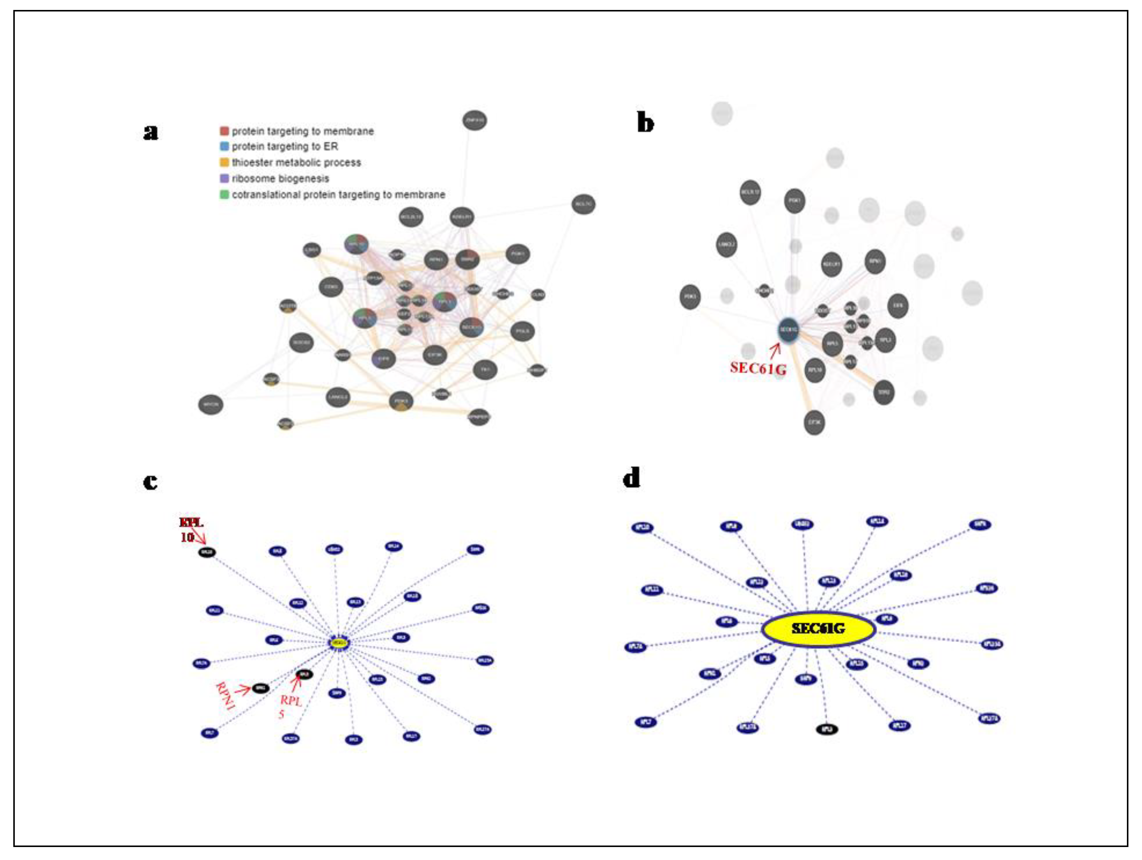 Preprints 88873 g005