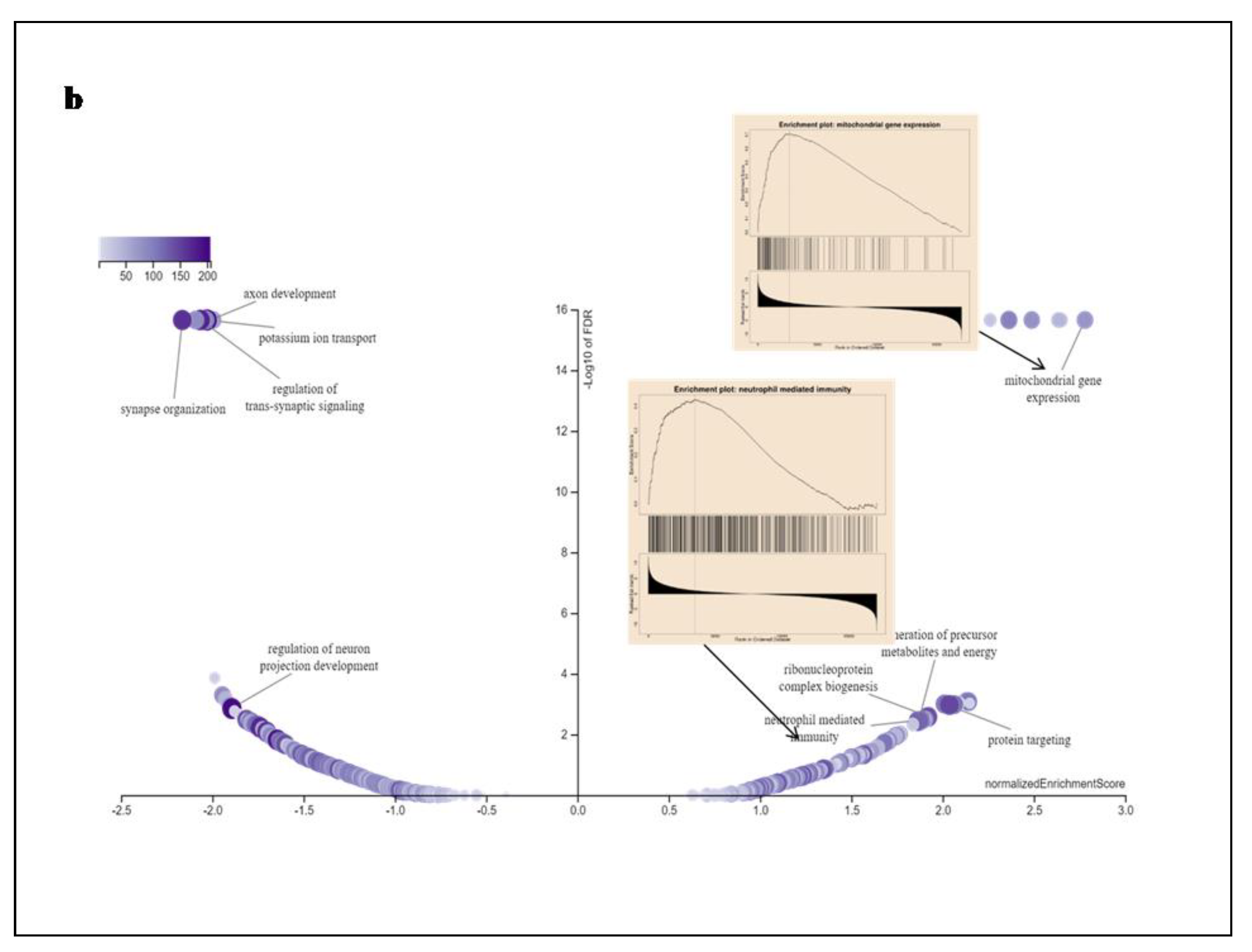 Preprints 88873 g007b