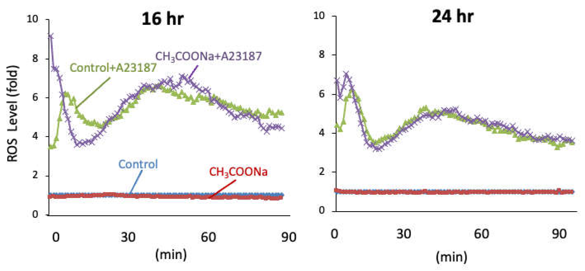 Preprints 111086 g002