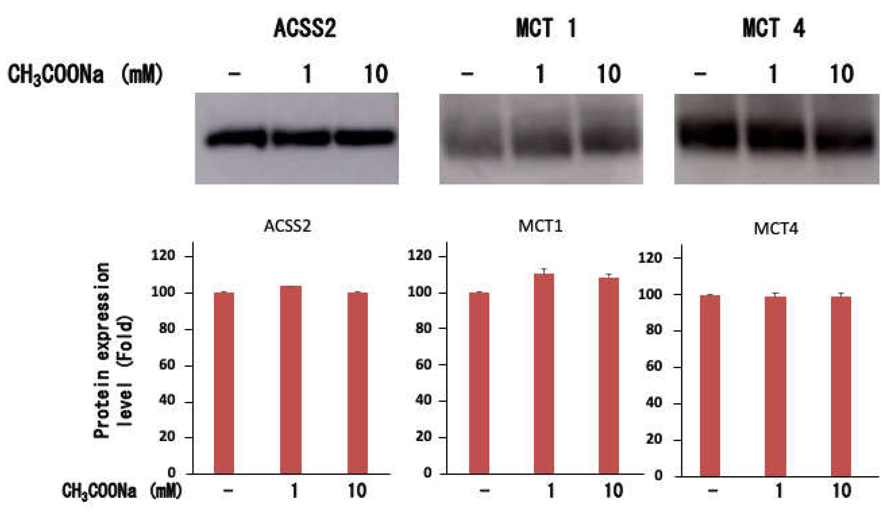 Preprints 111086 g004