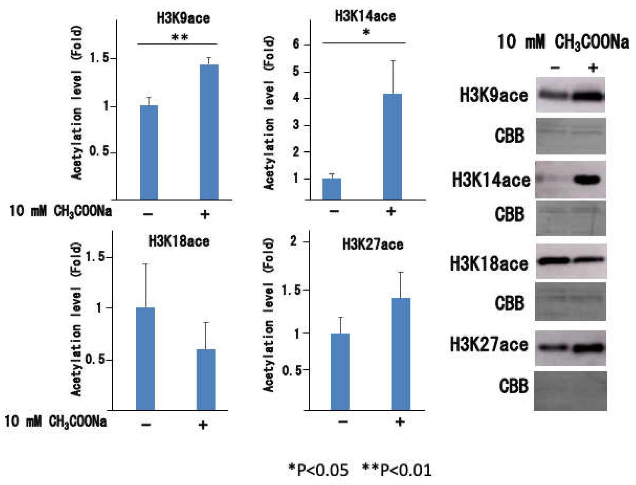 Preprints 111086 g006