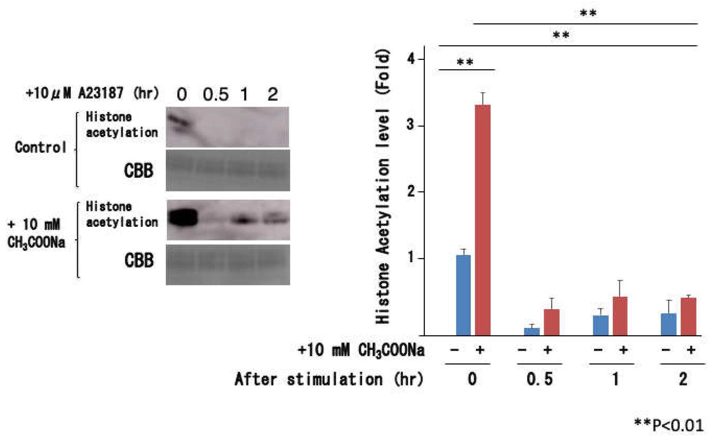 Preprints 111086 g007