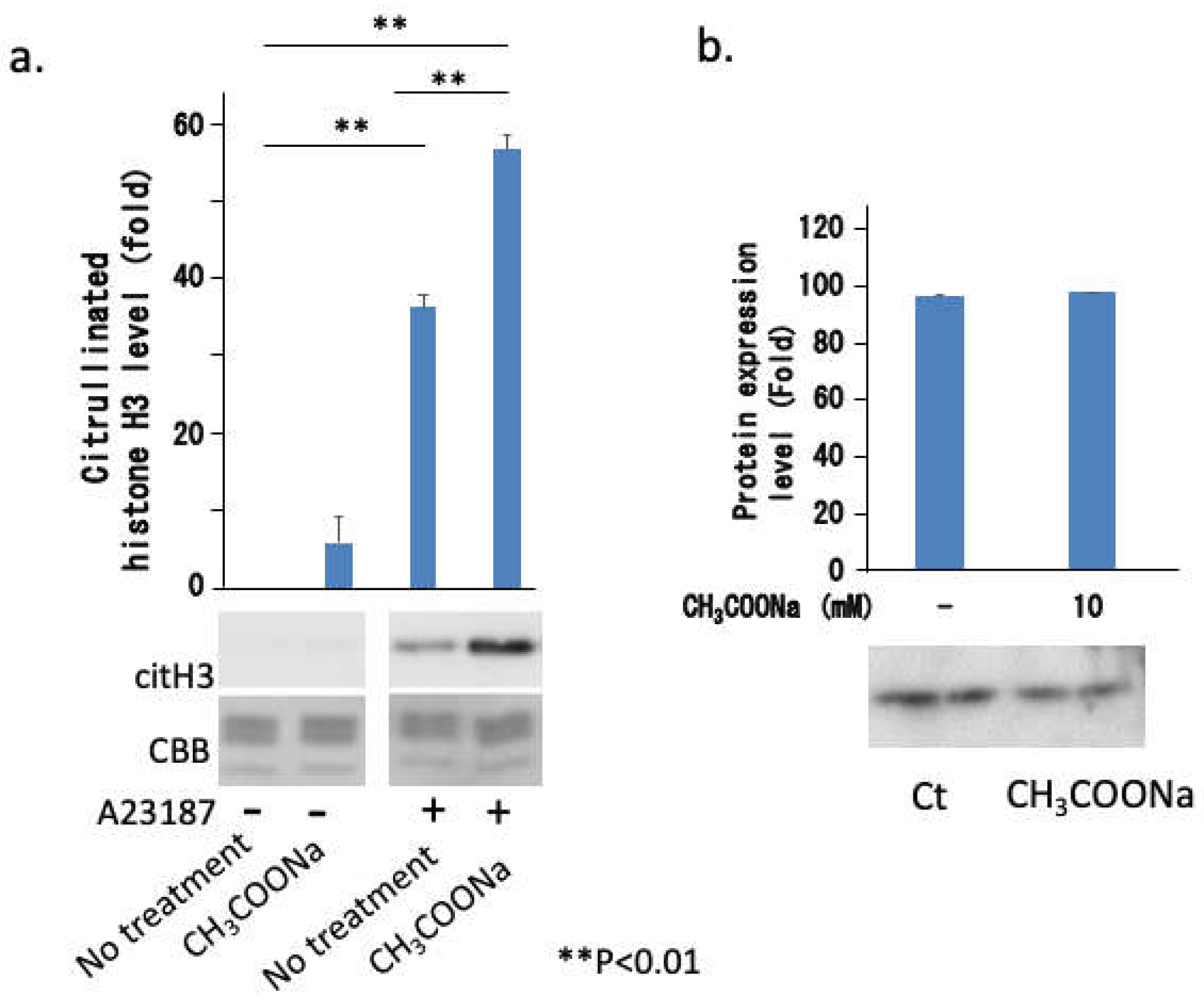 Preprints 111086 g008