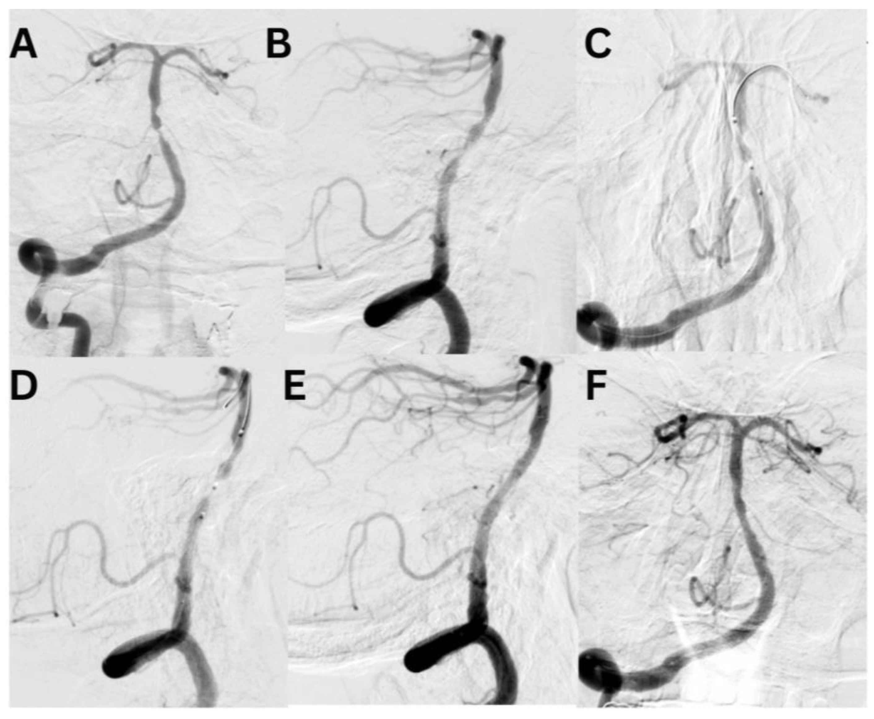 Preprints 142055 g003