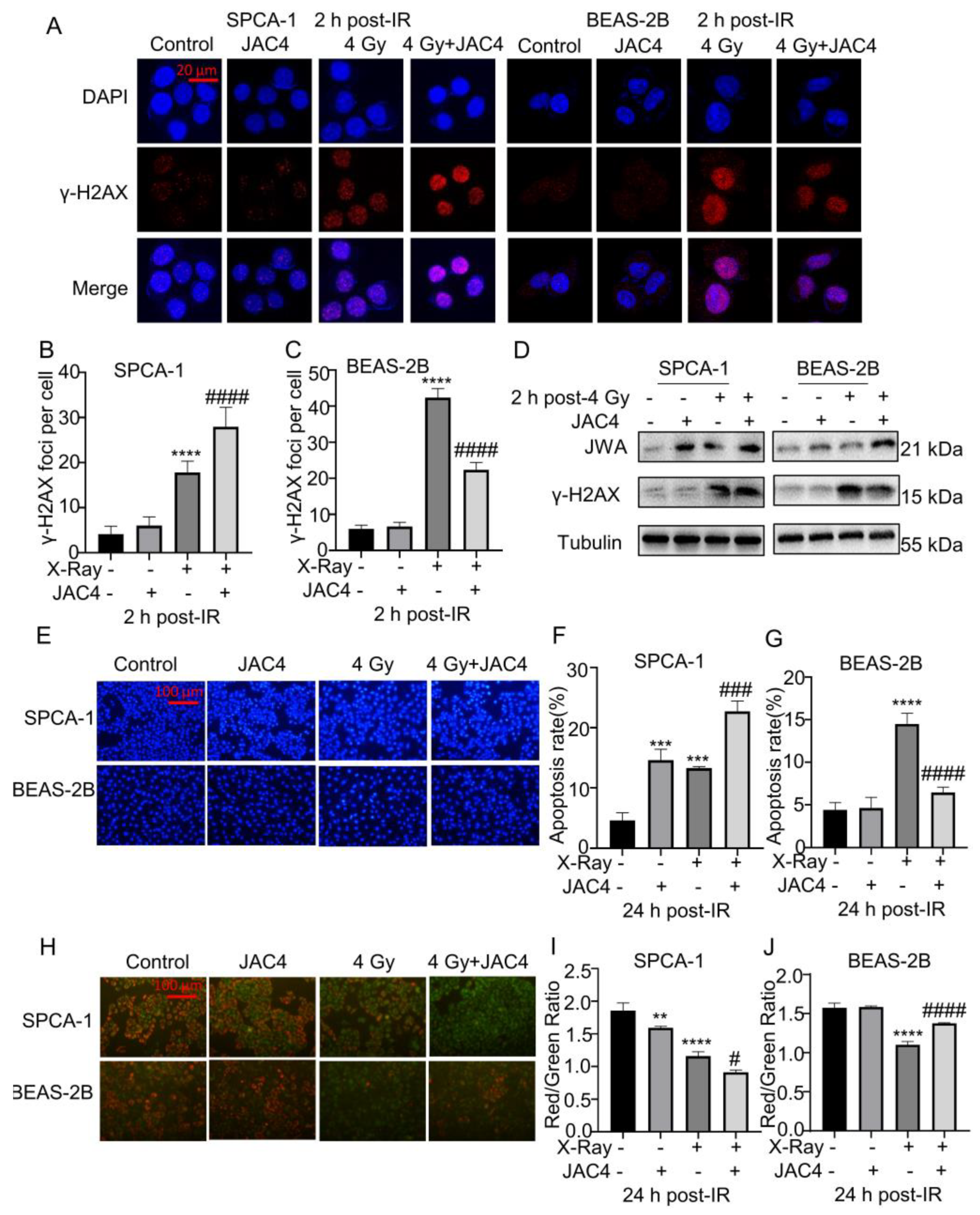 Preprints 75744 g002