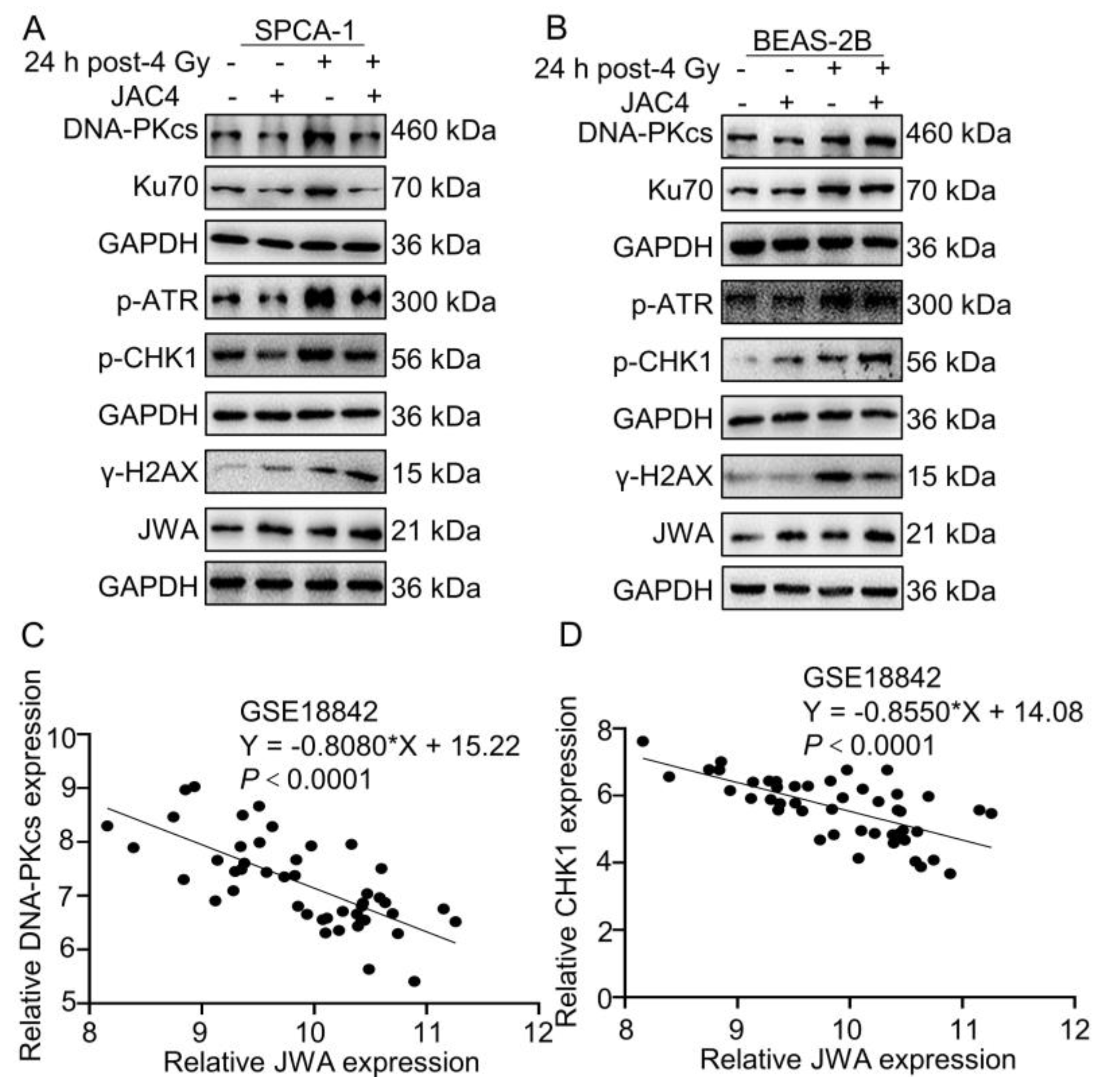 Preprints 75744 g003