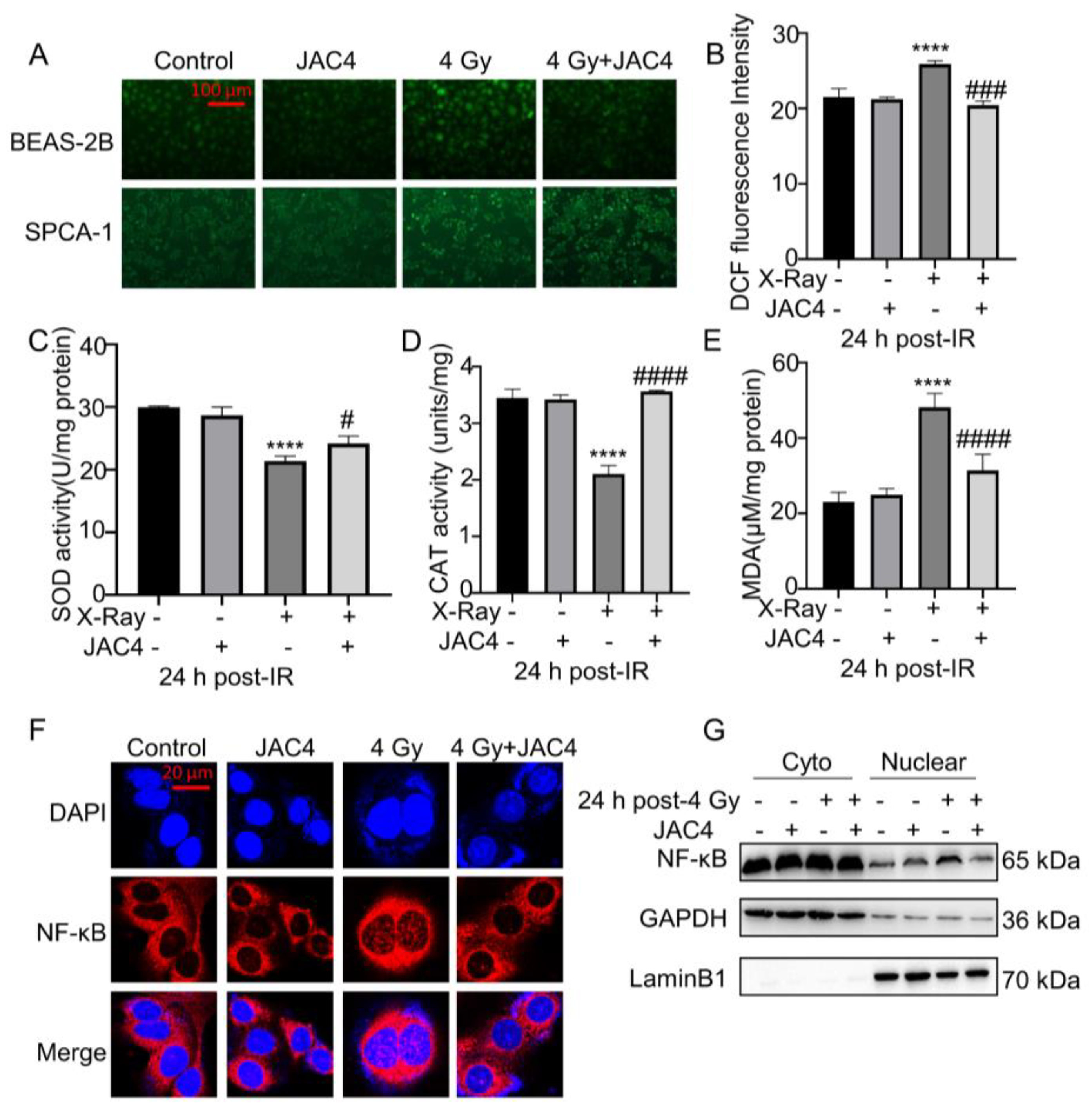 Preprints 75744 g004